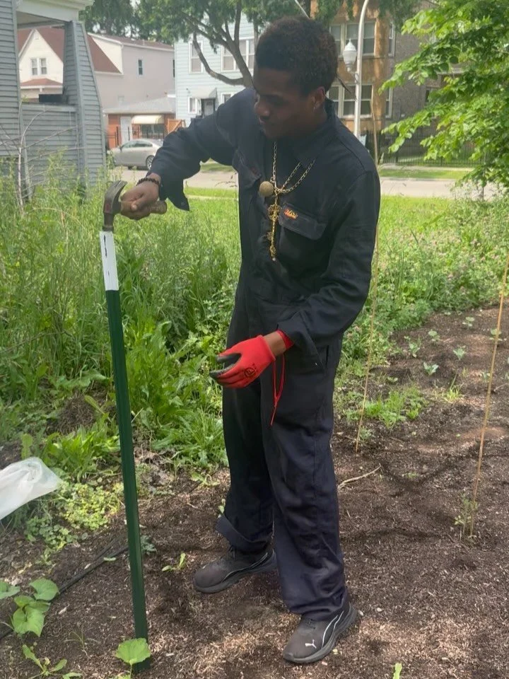 🥒 This weekend we put up a fence for the tomato and cucumbers to grow on. Last weekend we played flowers and other veggies. 

The struggle is real when we don&rsquo;t have water hook up. We have to carry buckets of water from our water tank that the
