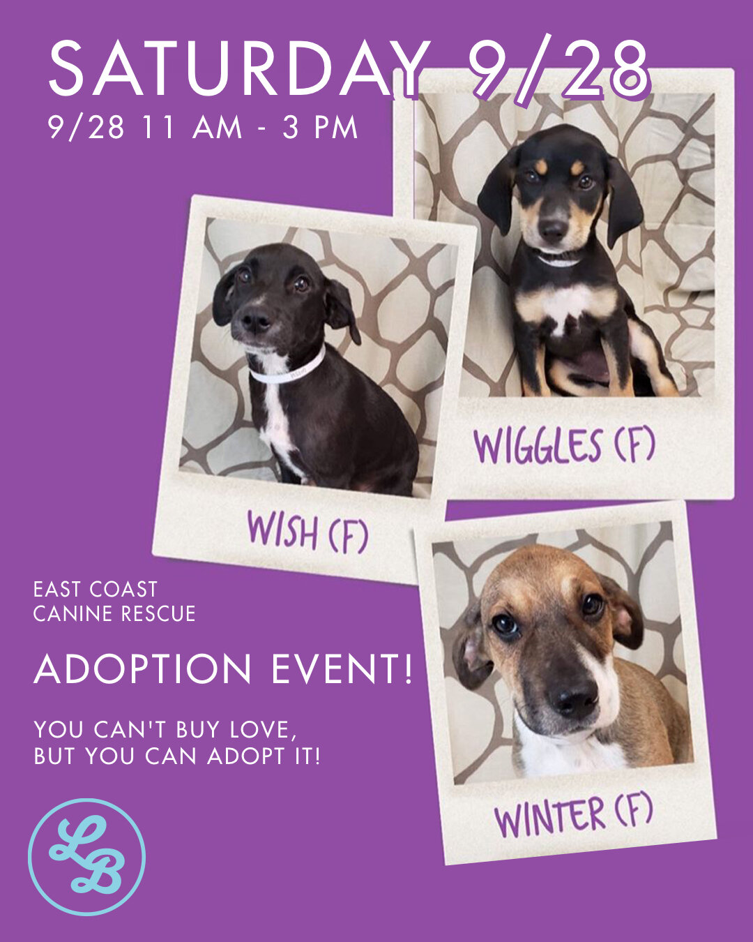Adoption4.jpg