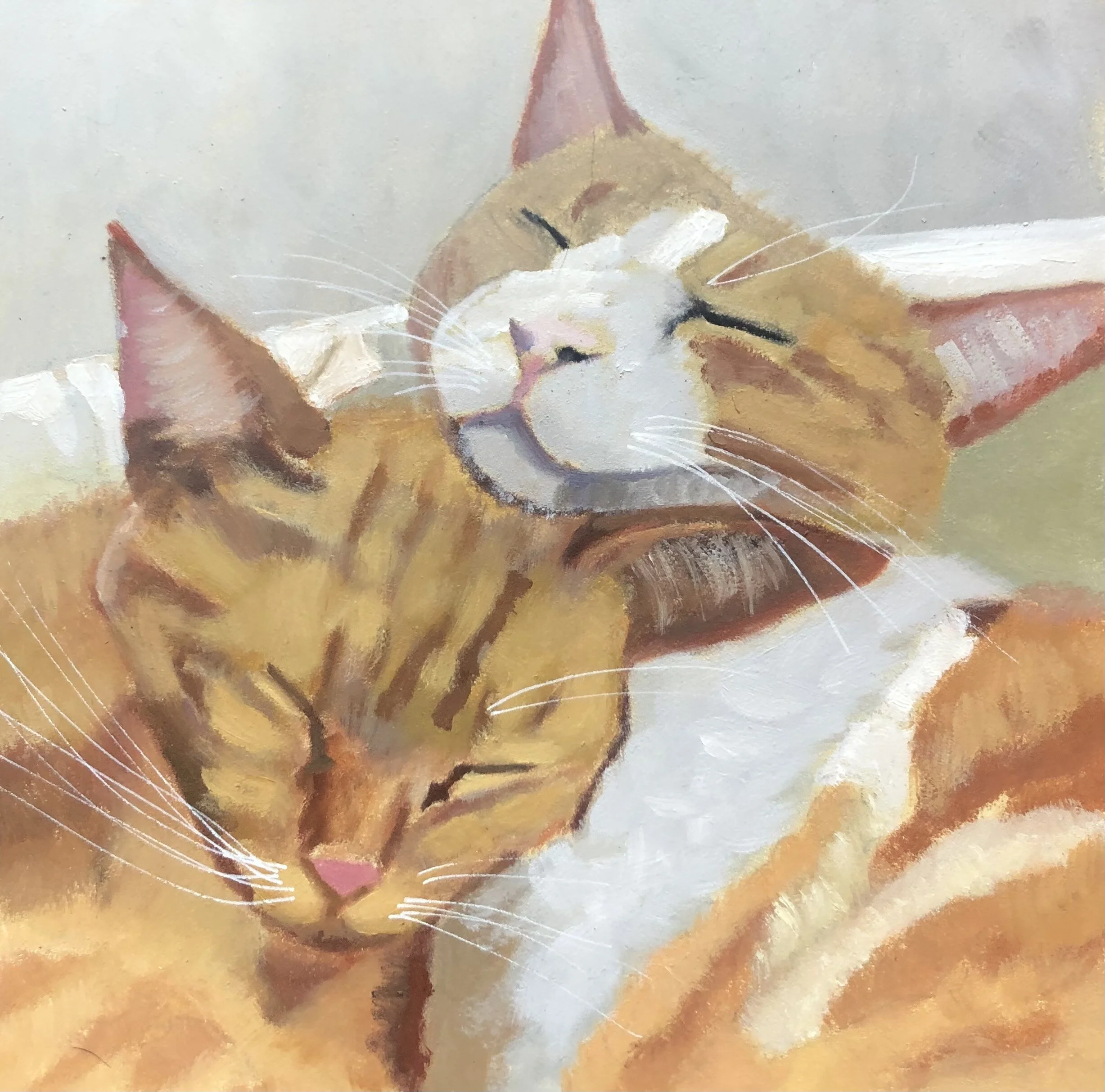 Kitty Color Study
