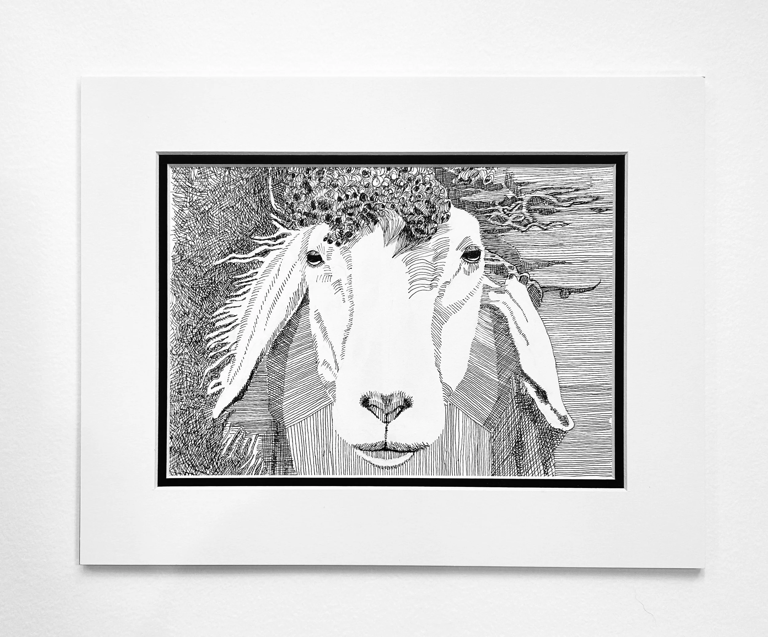 Sheep