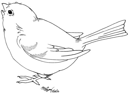 bird-clipart-png-black-and-white-9.jpg