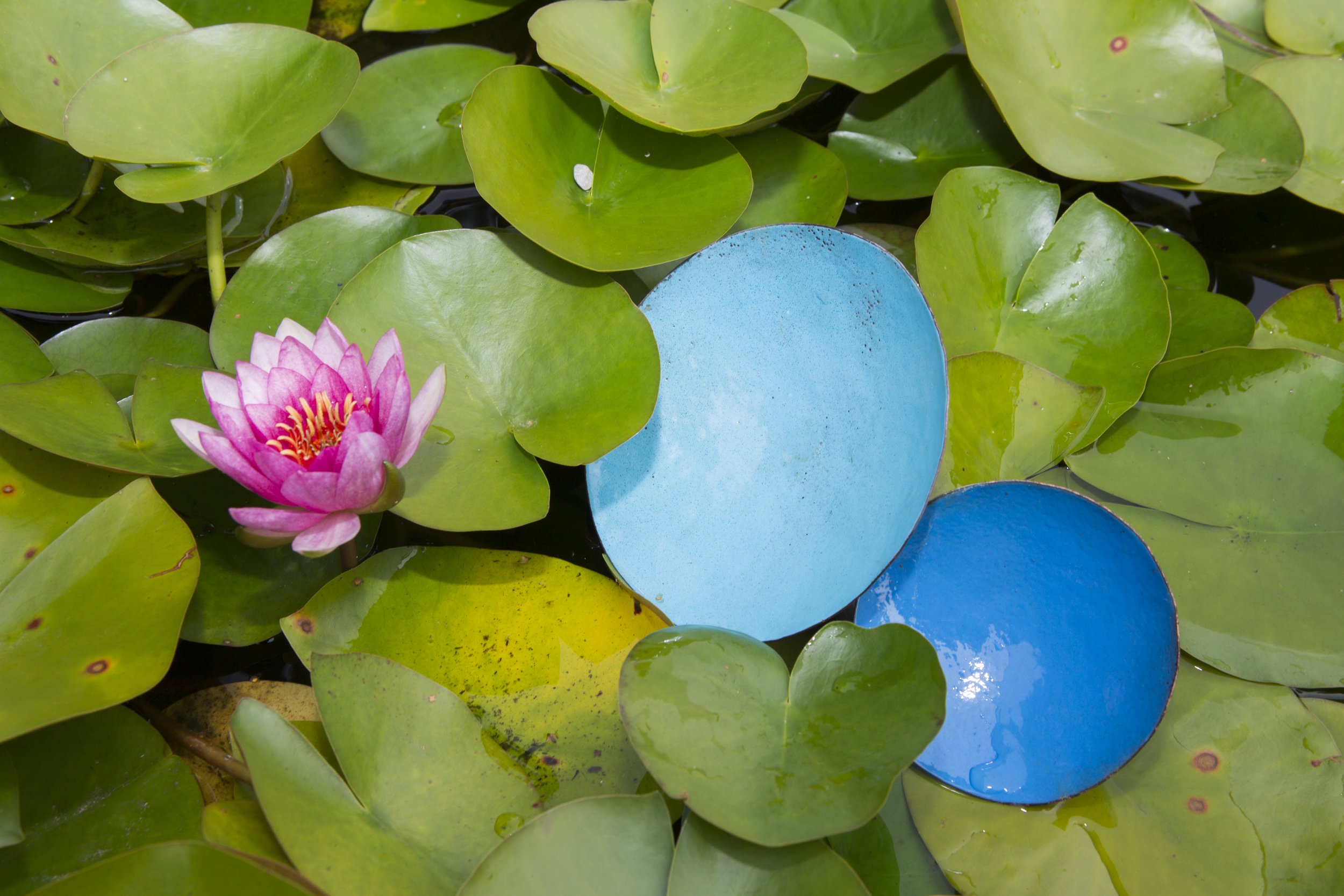  coupelles flottantes émaillées 