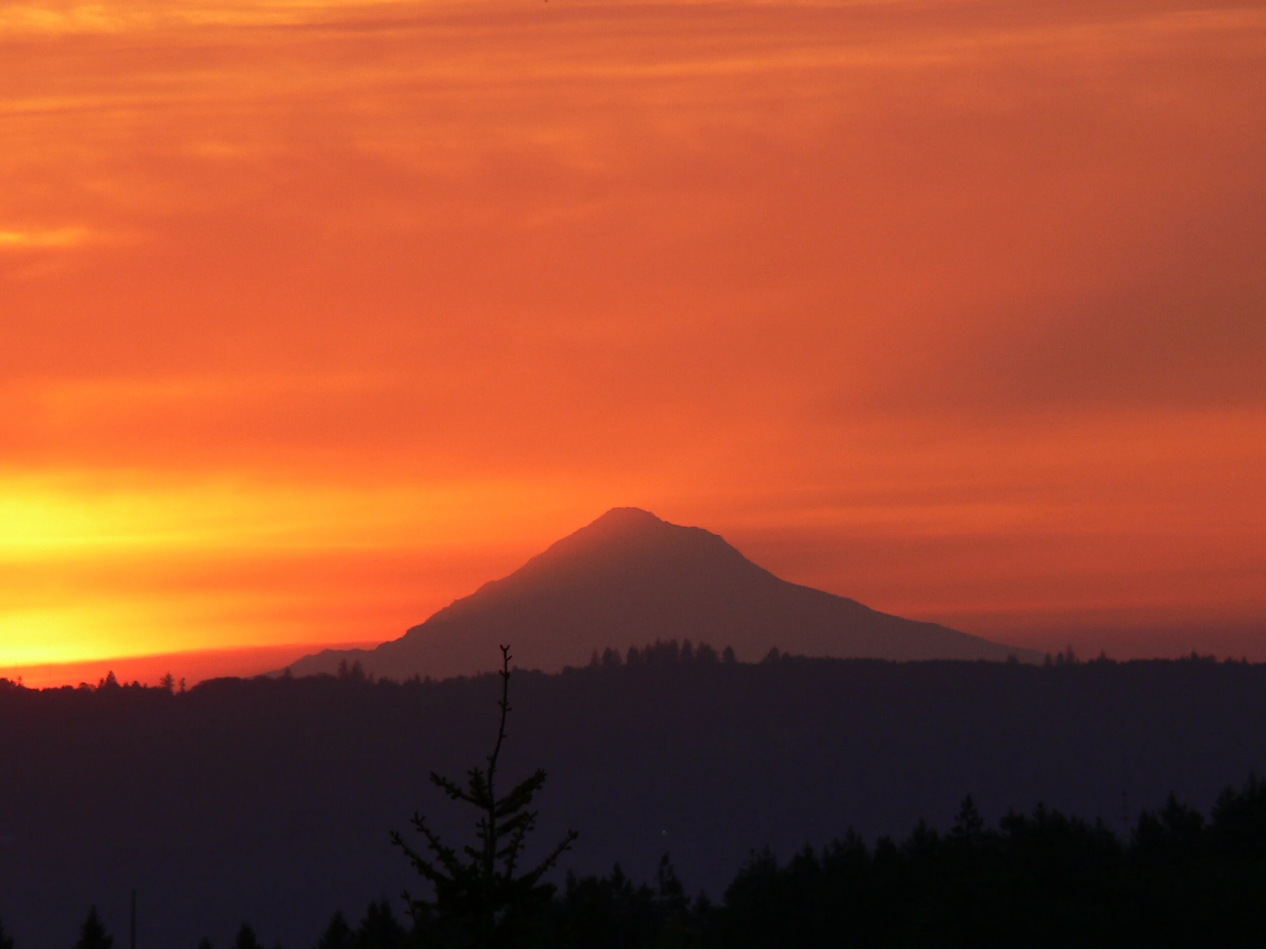 Hood At Sunrise Blazing 2.JPG