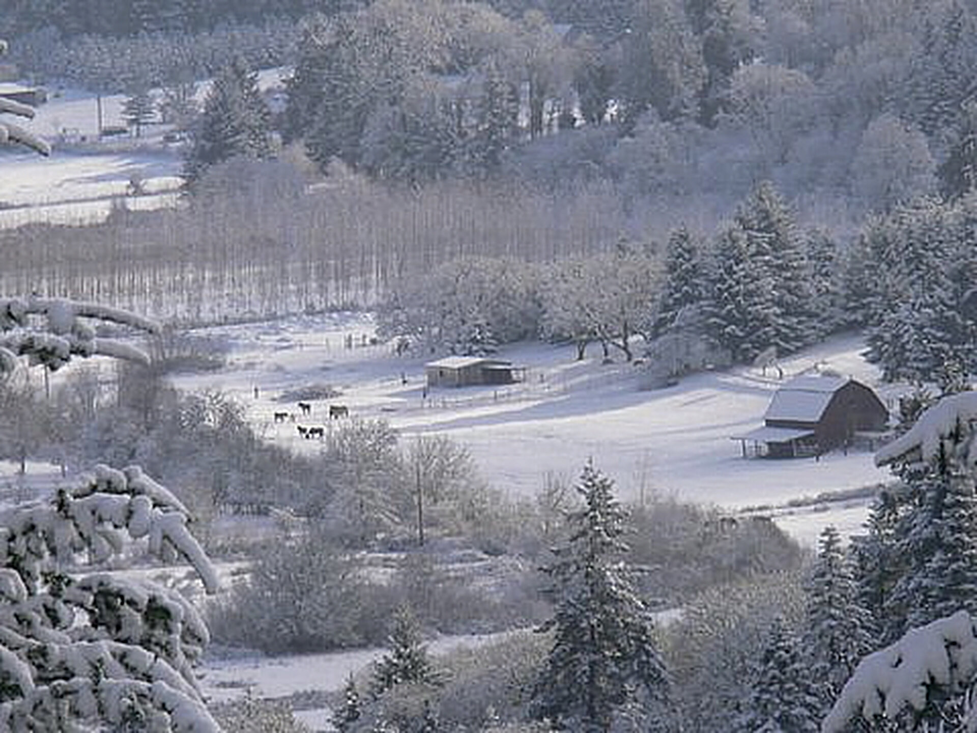 Picture Postcard Barn In Snowy Valley2.jpg