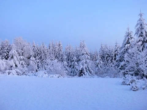 Winter Wonderland 2.JPG