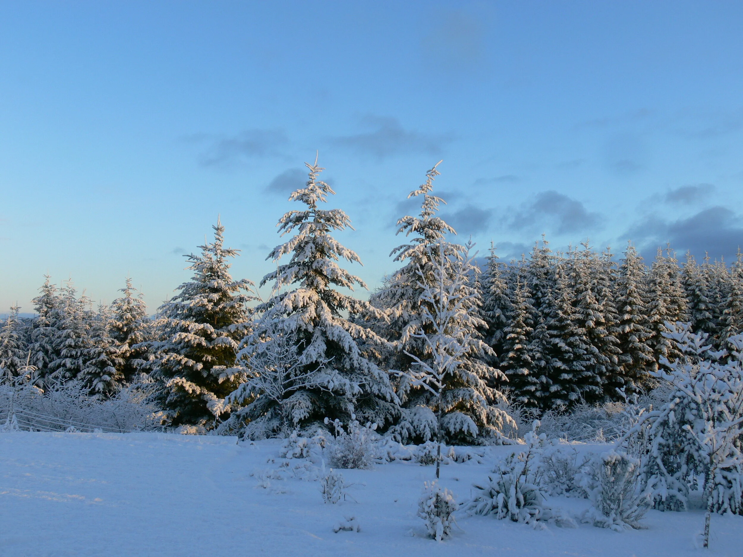 Winter Wonderland.JPG