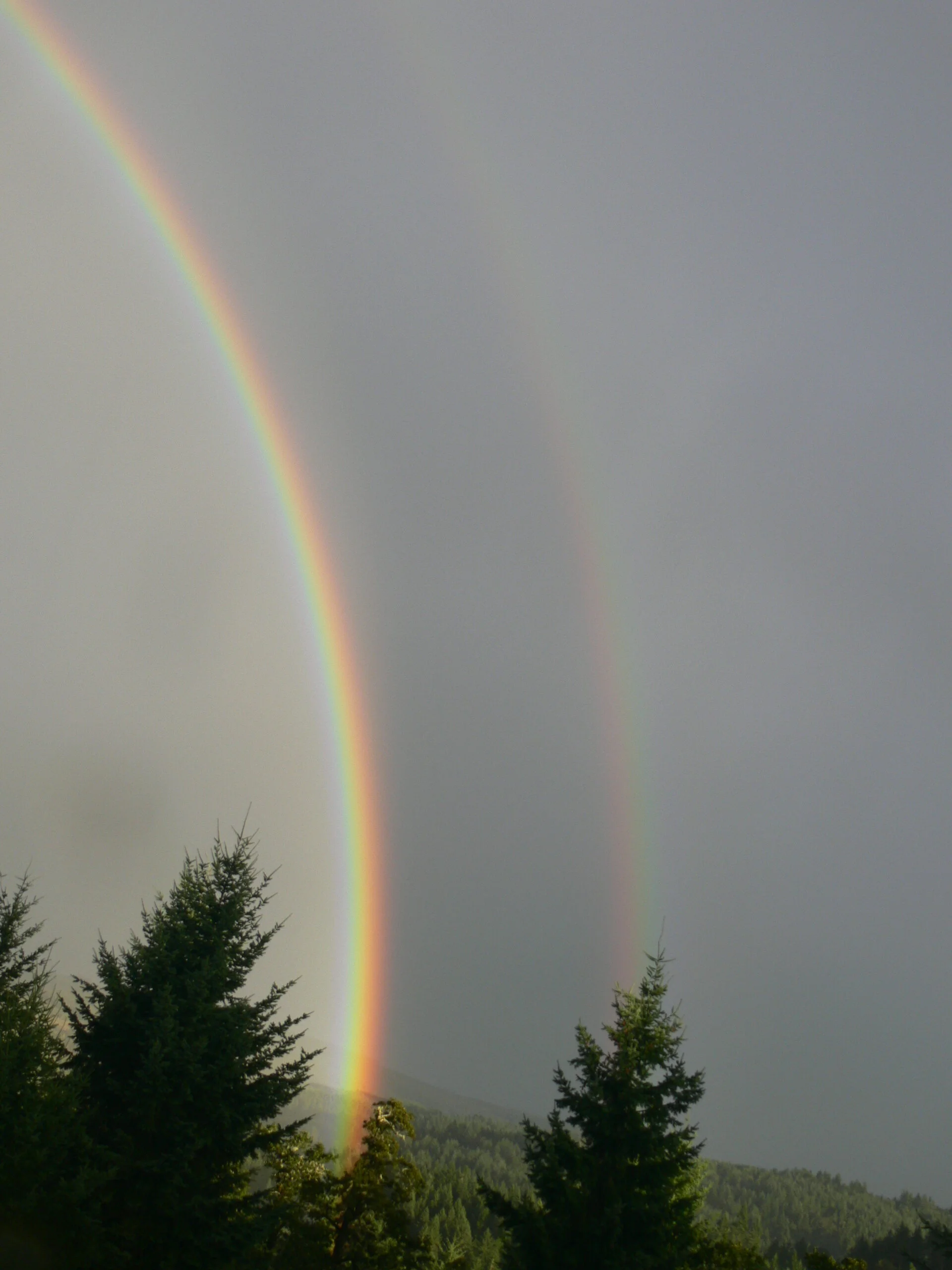 Double Raindow.jpg