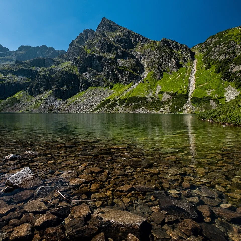 27658040_10159295538153682_8330104305568441583_n.jpg