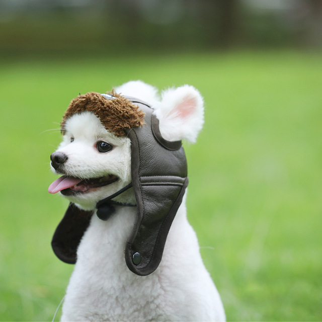 S-XXL-Newest-Autumn-Winter-Style-Cute-Cap-Pet-Costume-Cosplay-Windproof-Pilot-Hat-for-Small.jpg_640x640.jpg