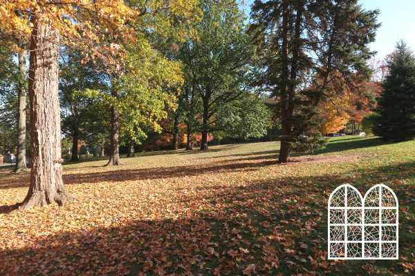 Autumn, Season of Surrender and Transformation