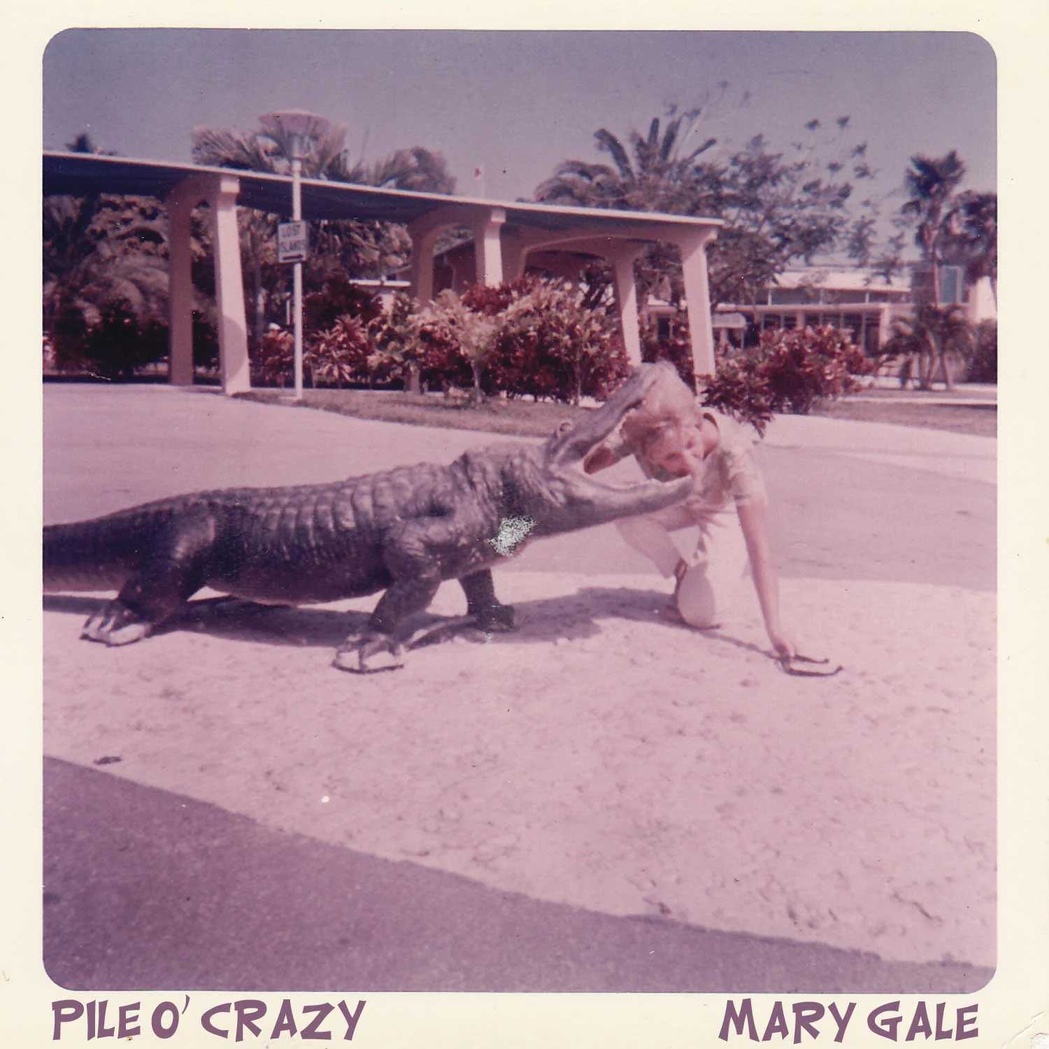Pile o' Crazy.jpg