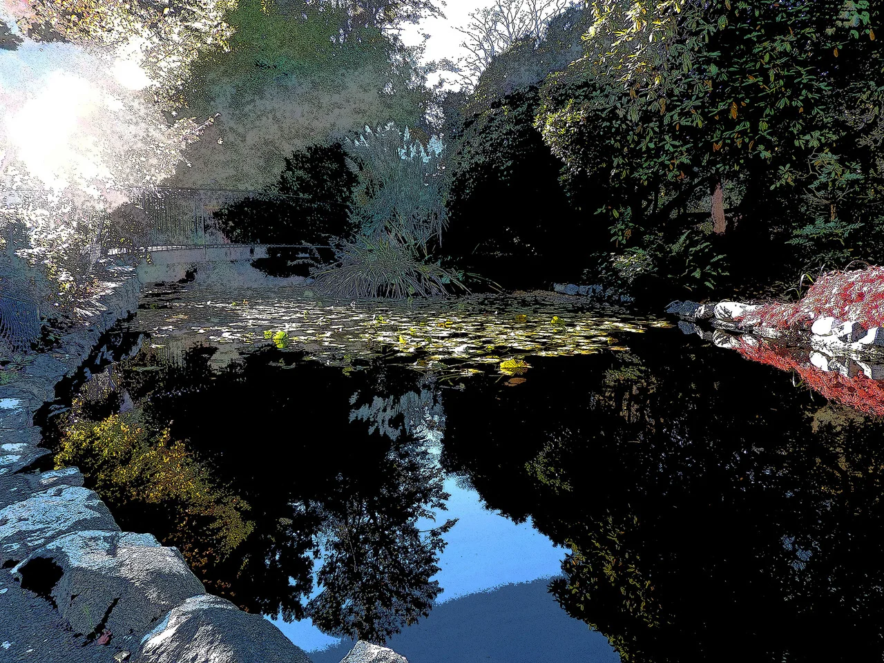 Pond Discovery…...Early Light 10.5 x 14.0"