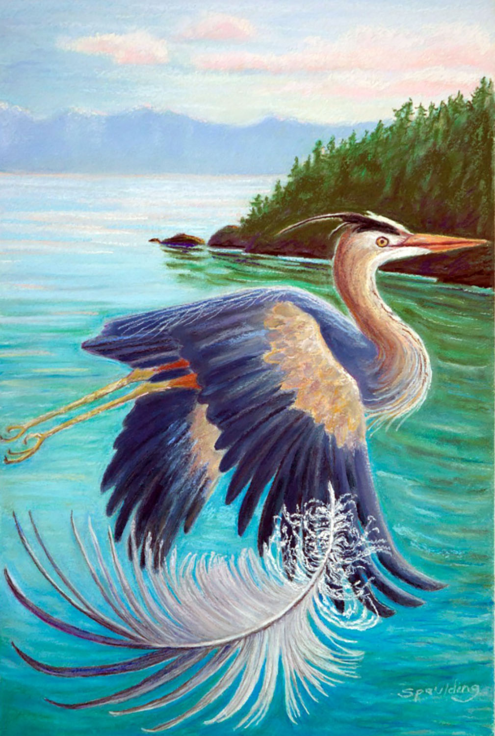   Heron Feather   Pastel 18” x 12” 