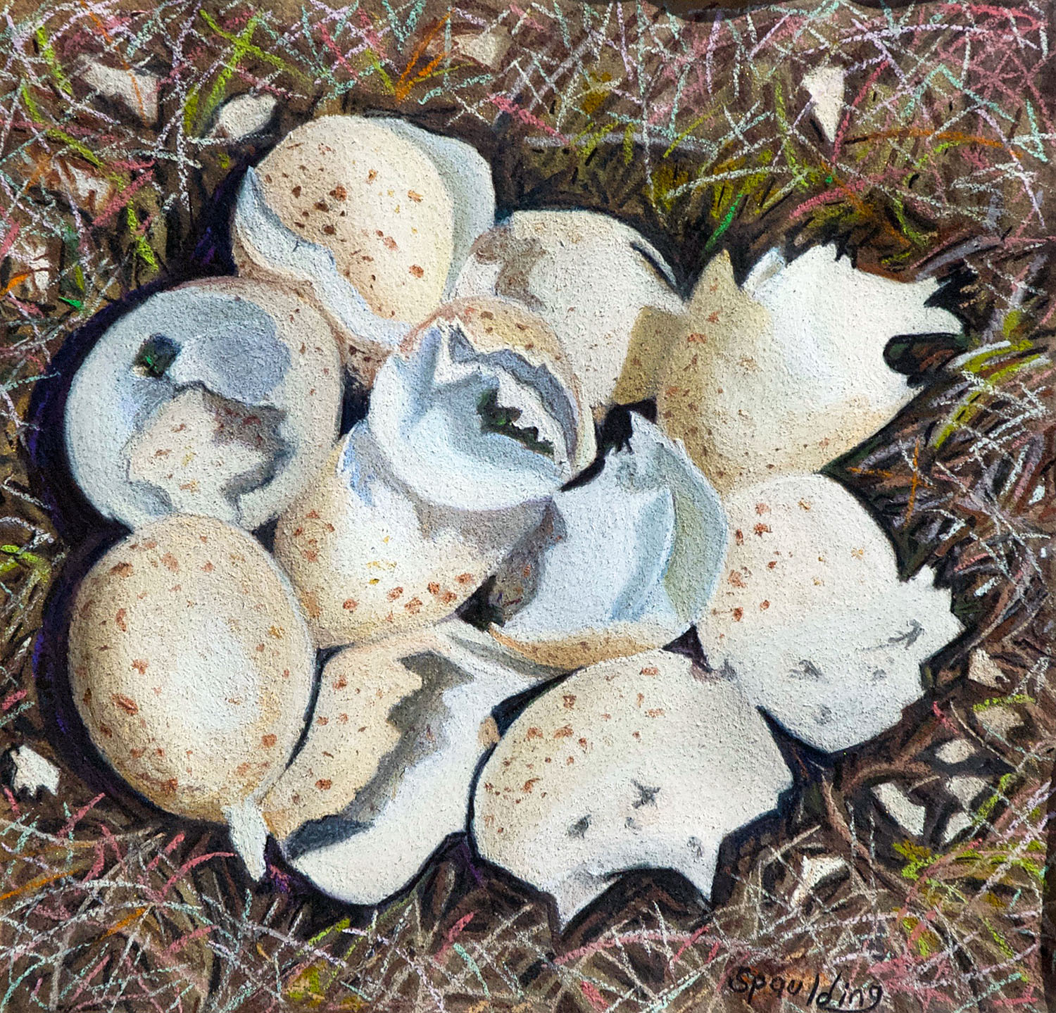   Ragged Edges of Life: Quail Eggs   Pastel 11.5” x 11" 