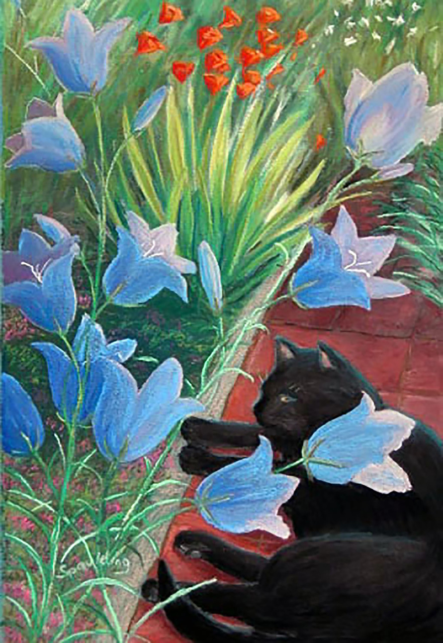   Cat and Companula   Pastel 12.5” x 8.6" SOLD 