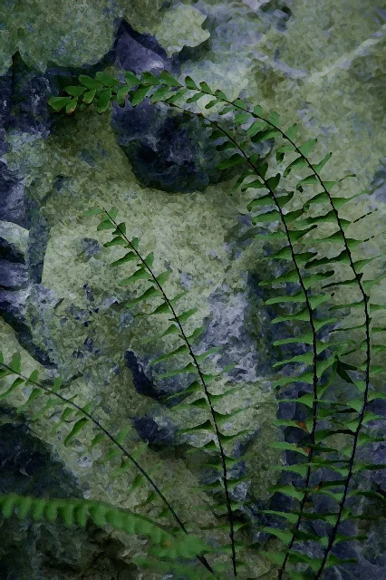 Living Fossil 10.25 x 15.5"
