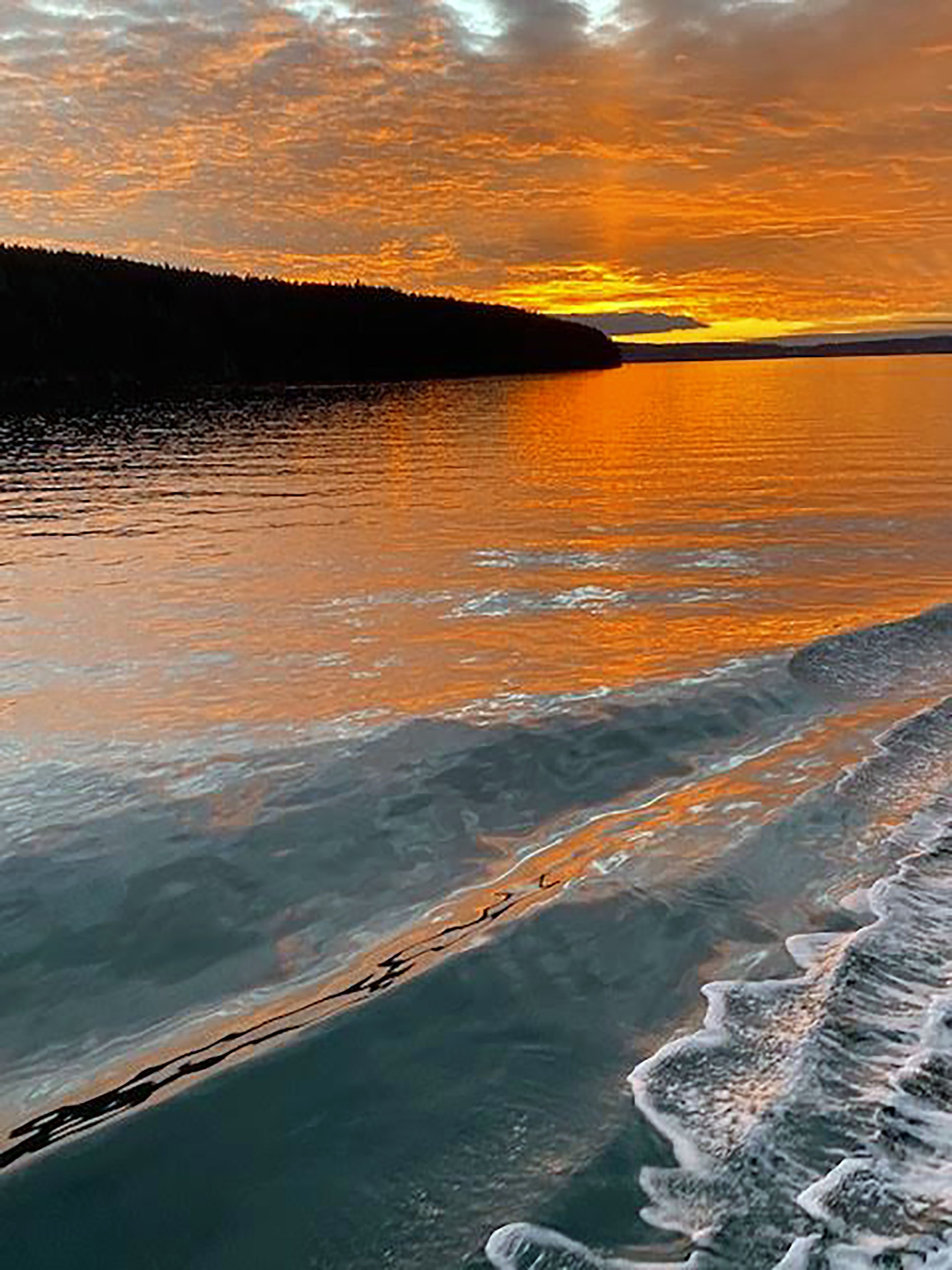   A Ferry Welcome Home  