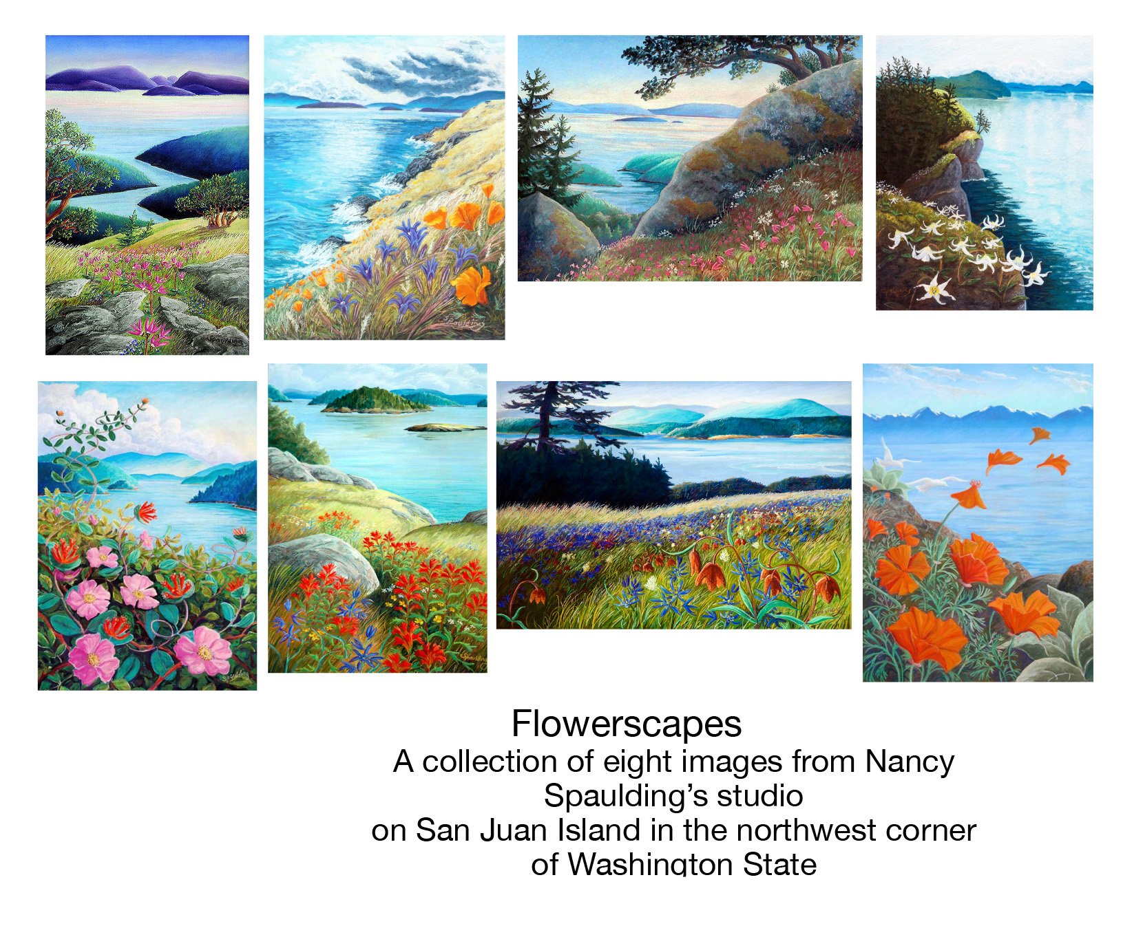 Flowerscapes Cards