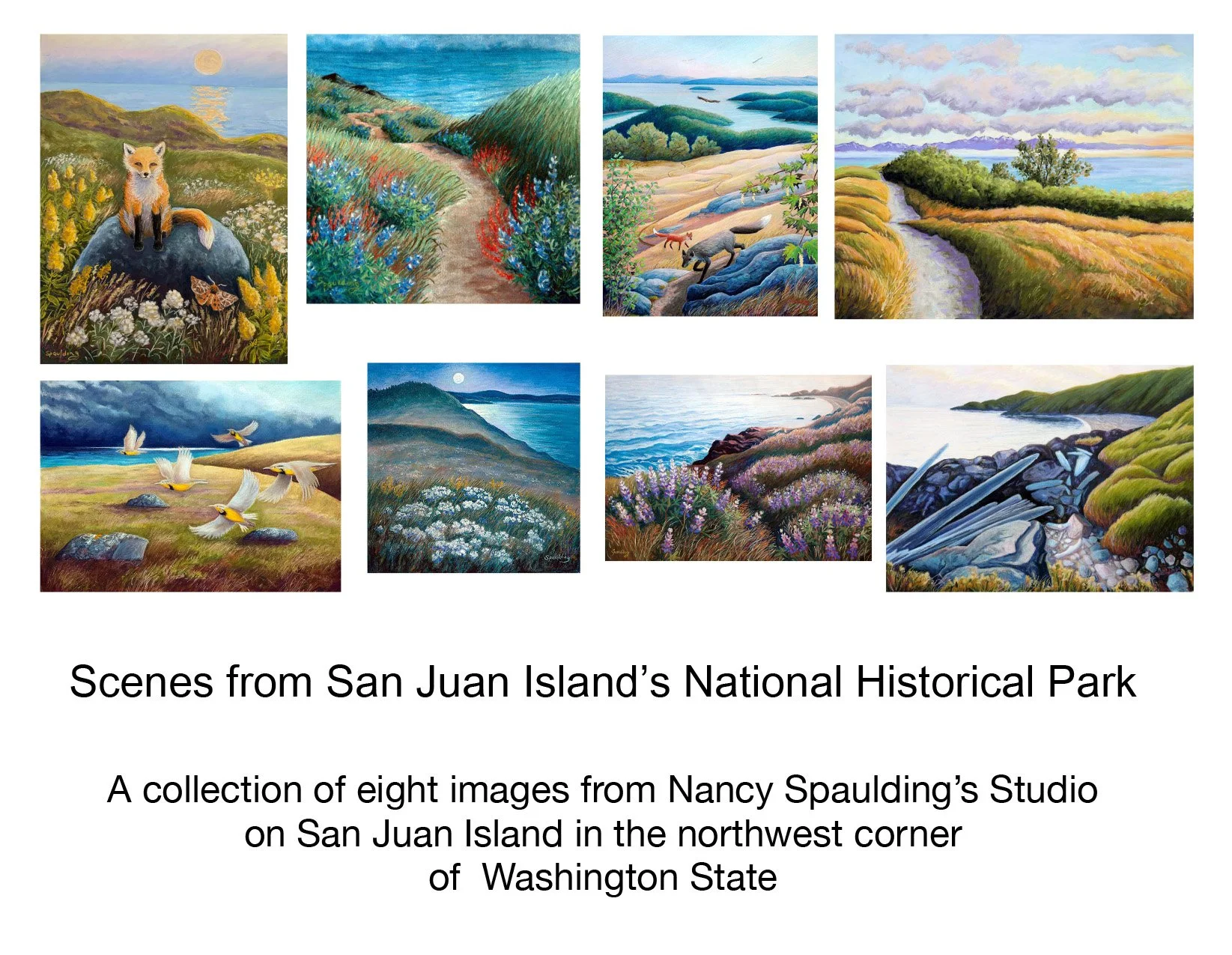 SJI National Park Cards