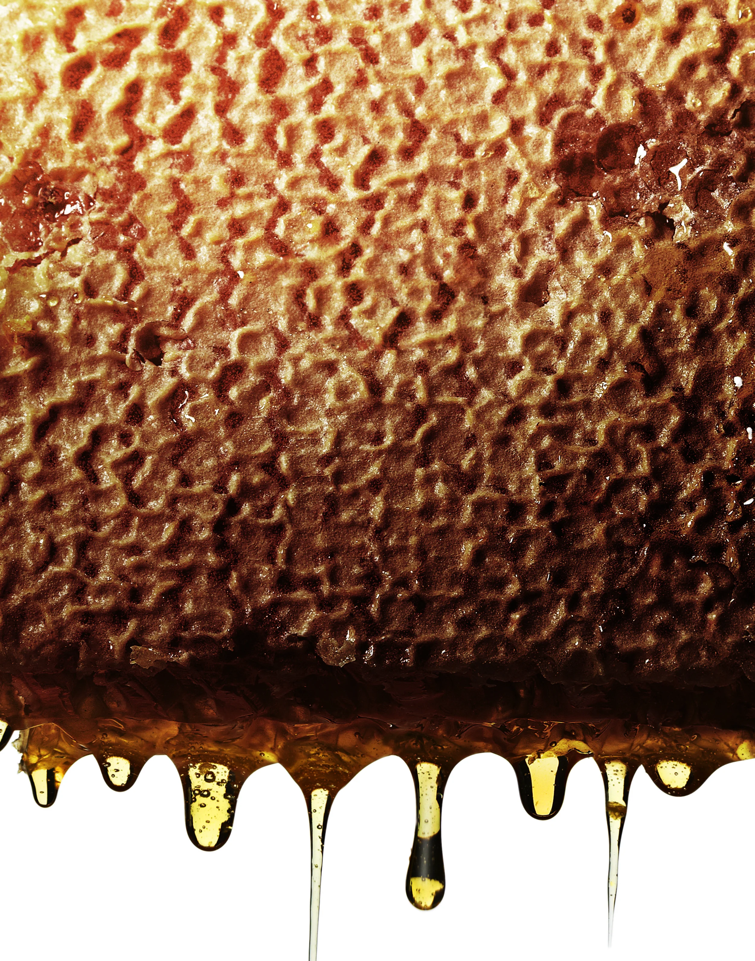 11_1024_Honeycomb_FFS2.jpg