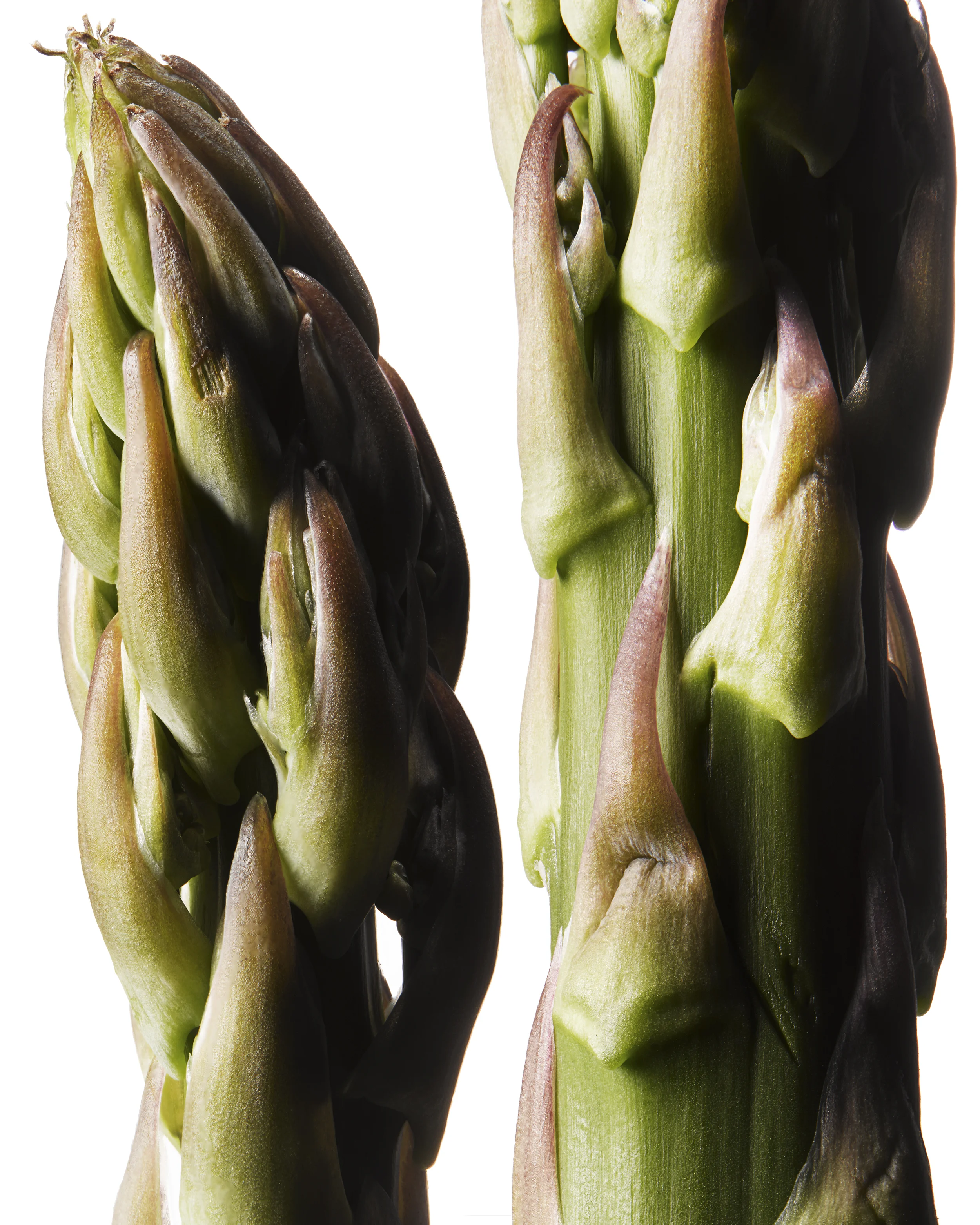 Asparagus_CloseUP.jpg