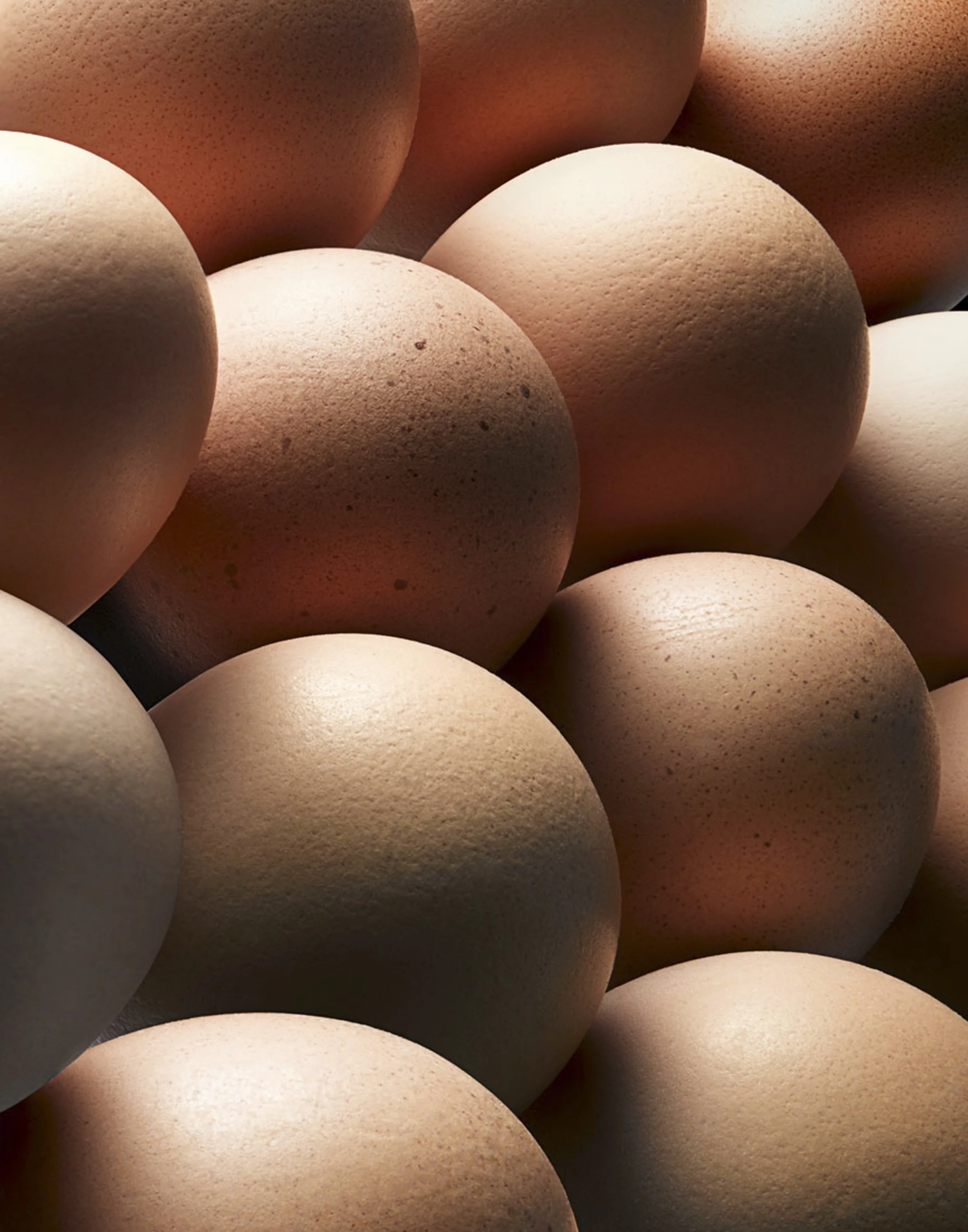 Egg_2_AFFS.jpg