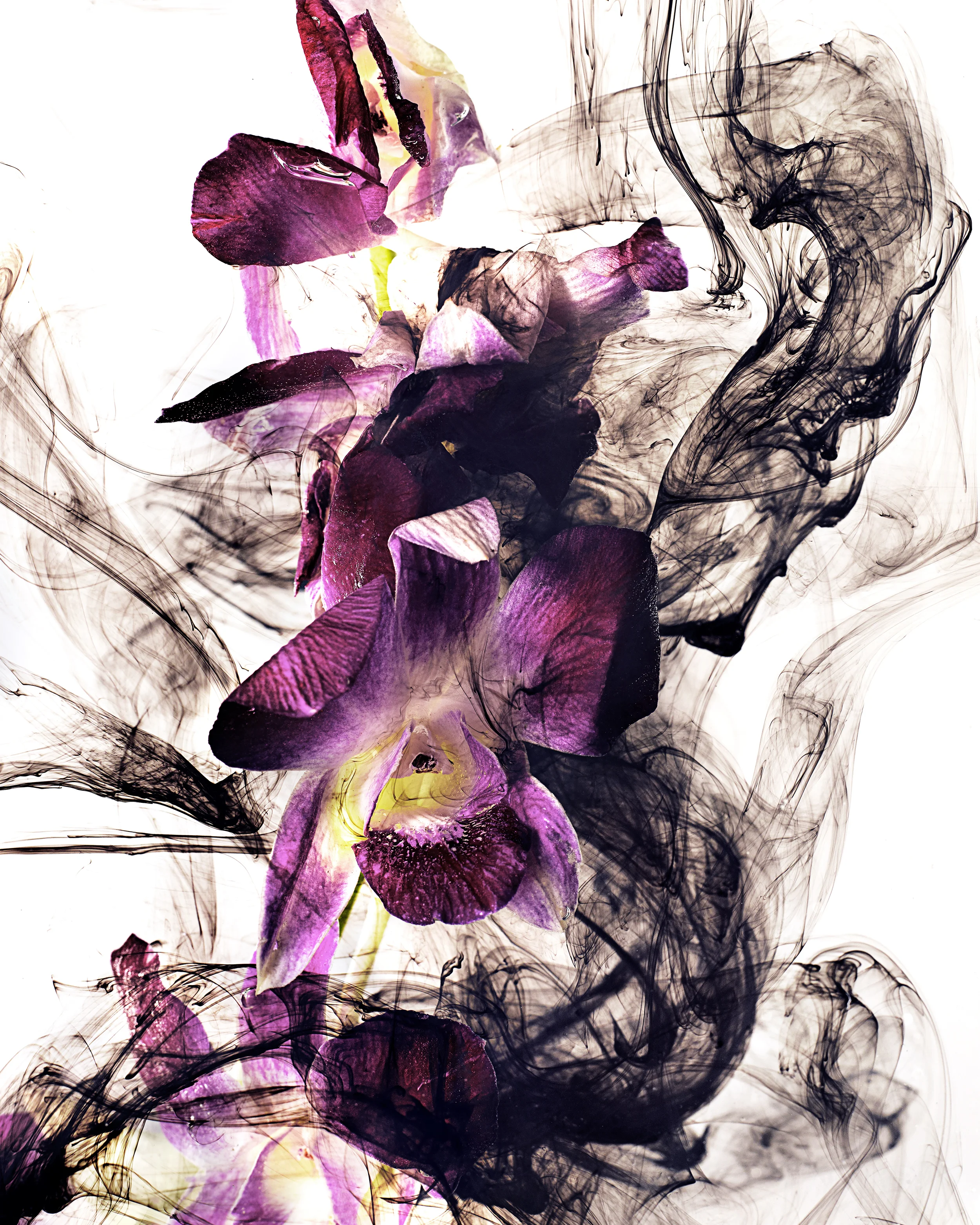 160115_Water_Paint8699_FFS.jpg