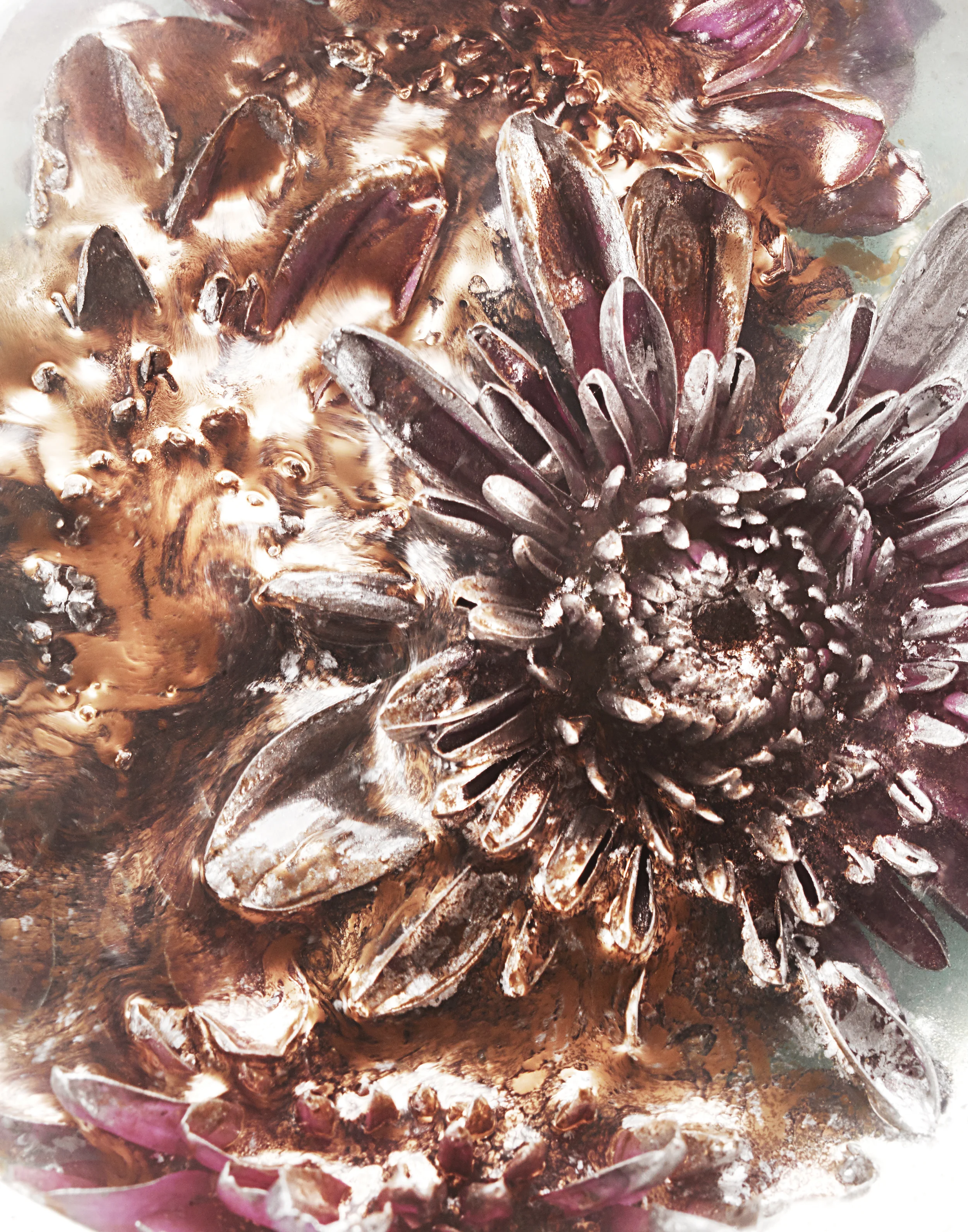 FLOWER_GOLD_COLOR_FFS.jpg