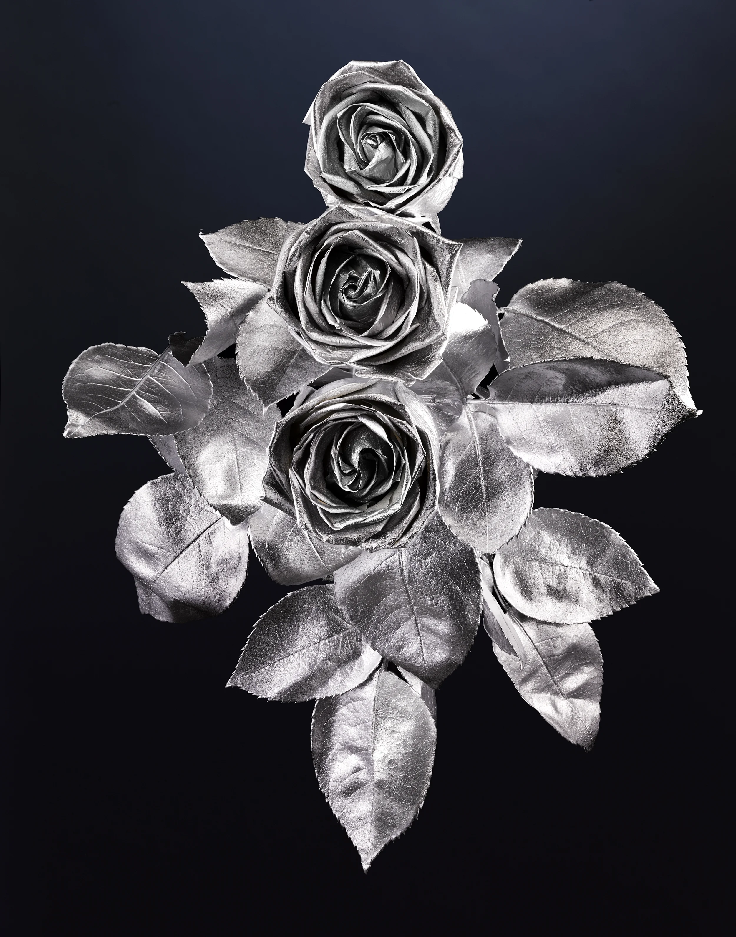 Rose_Silver_FLF2.jpg