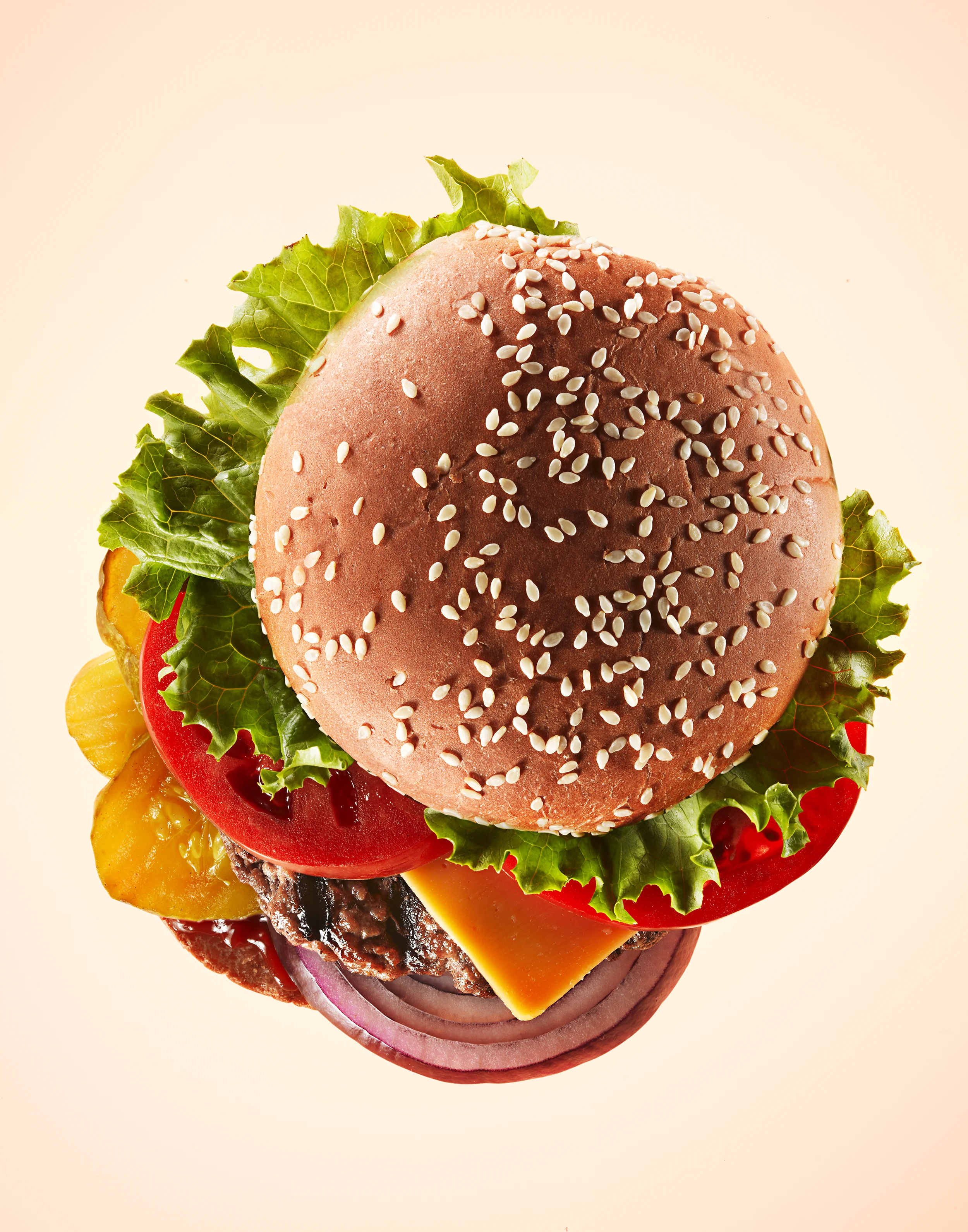 Hamburger_Overhead_FFS.jpg