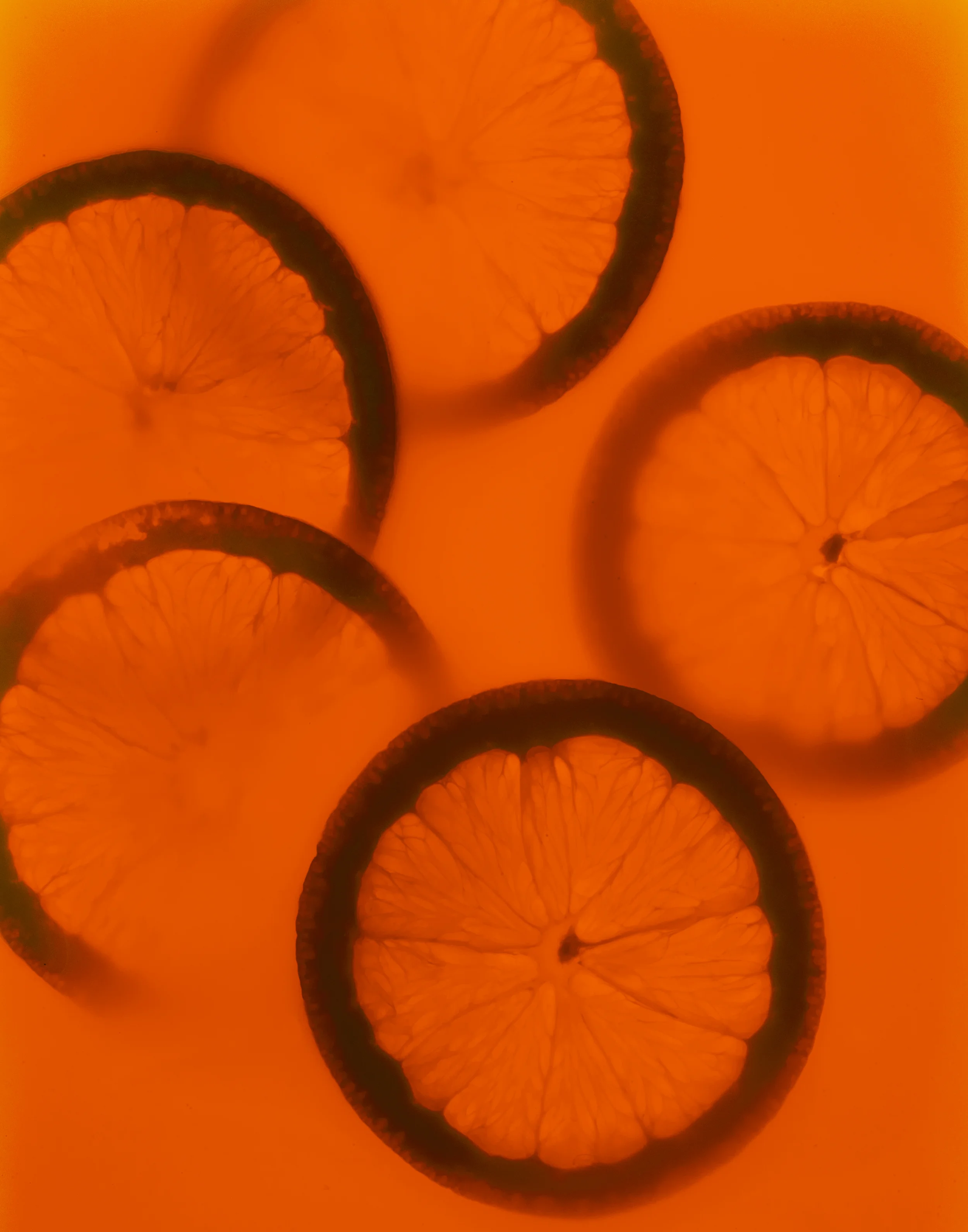 140515_Icecream_Test 3296.jpg