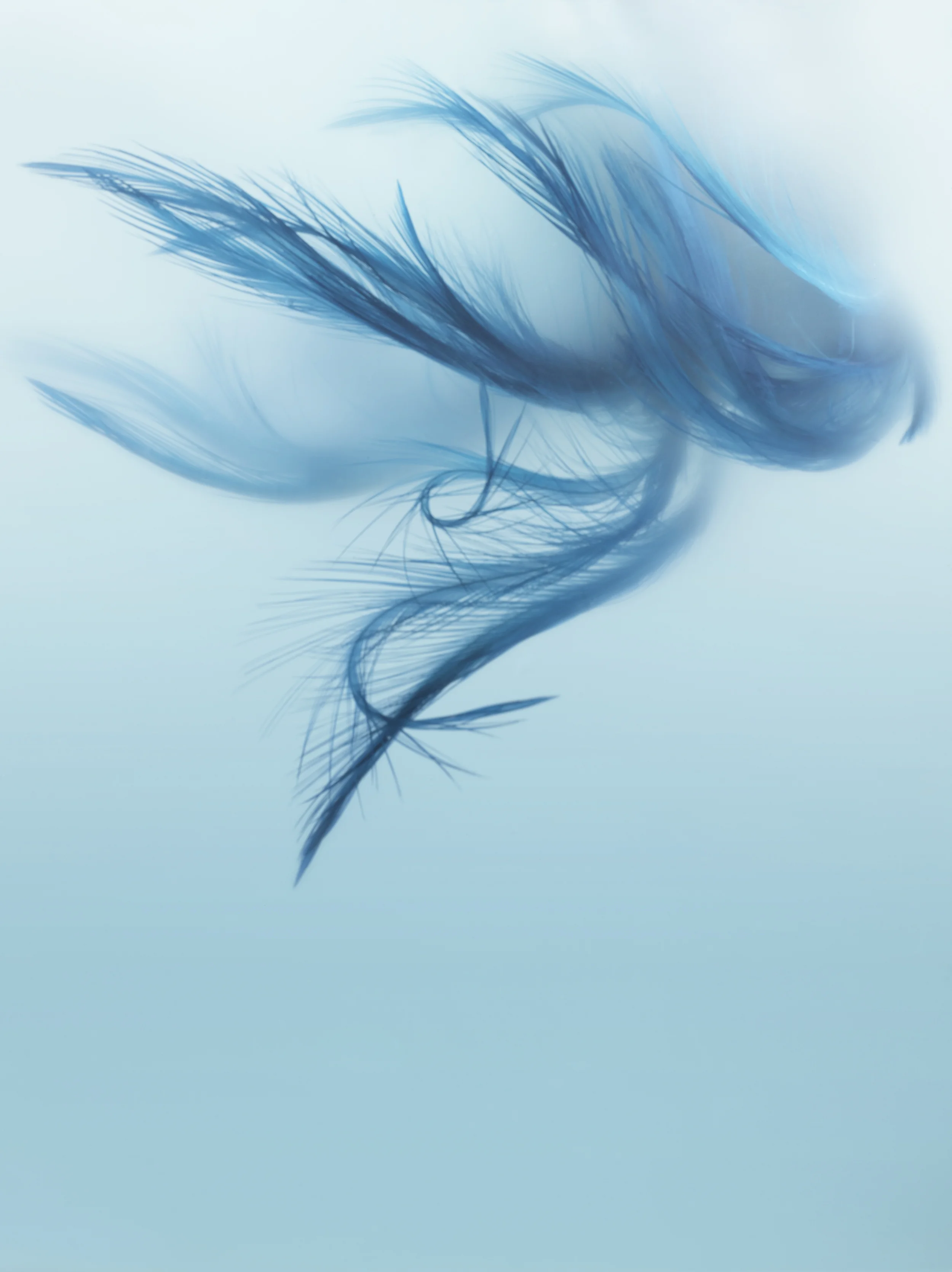 190711_Abstract72354.jpg