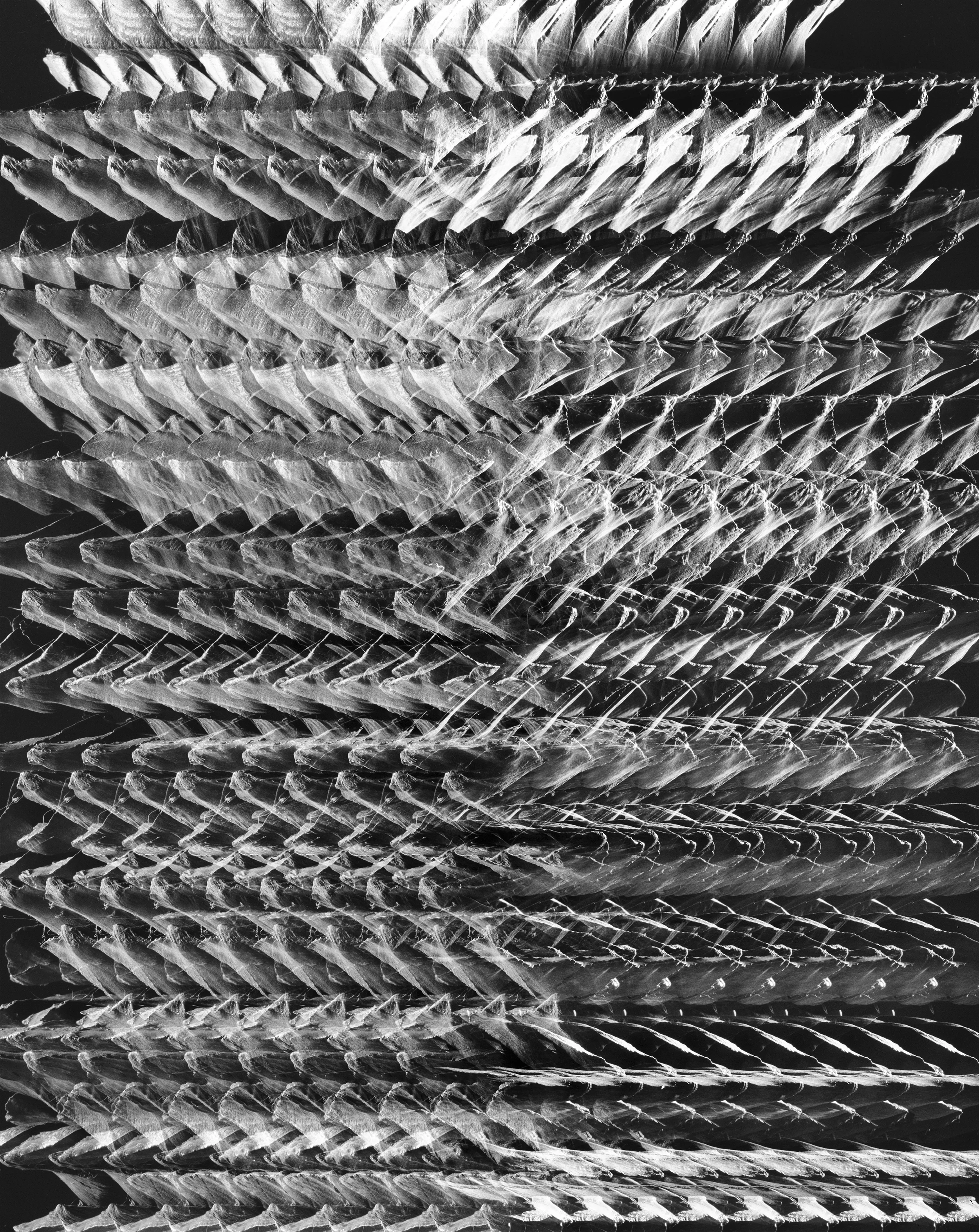 StilLife_039.jpg
