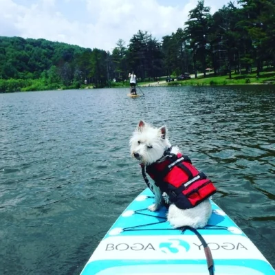titusSUpwithPUP.jpg