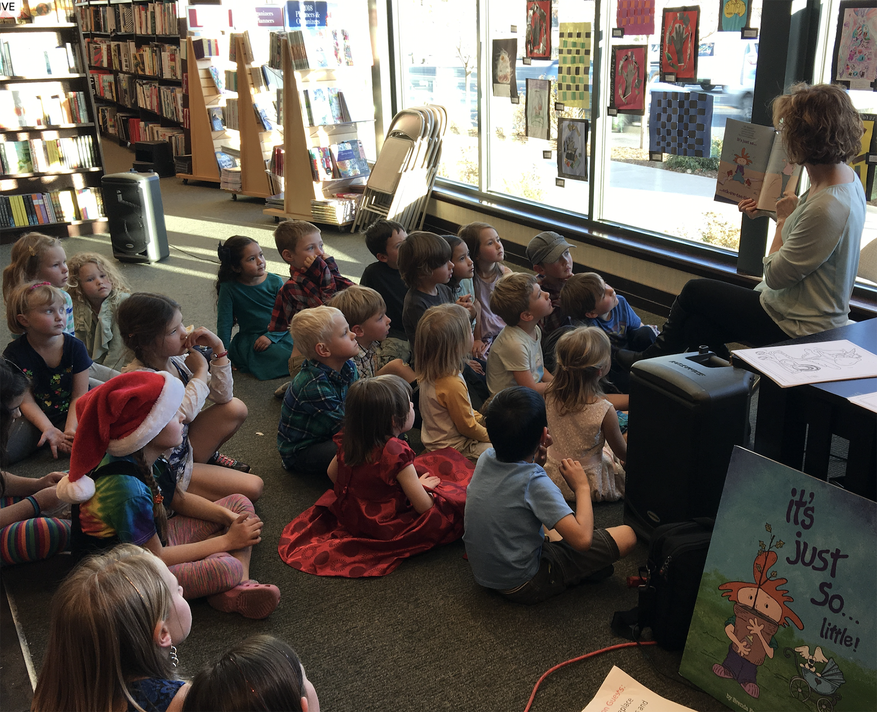 Author visit - Brenda Reading Boulder Montesori School  Book Fair.png