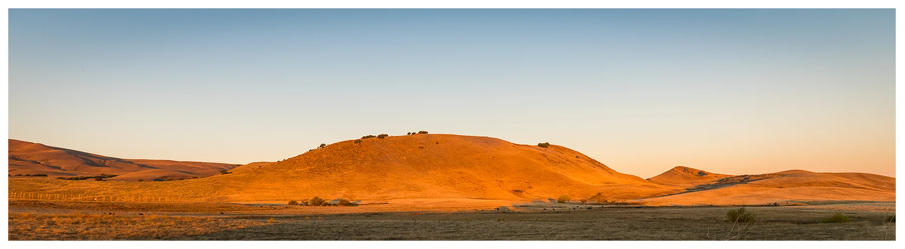 DSC_1268-Pano.jpg