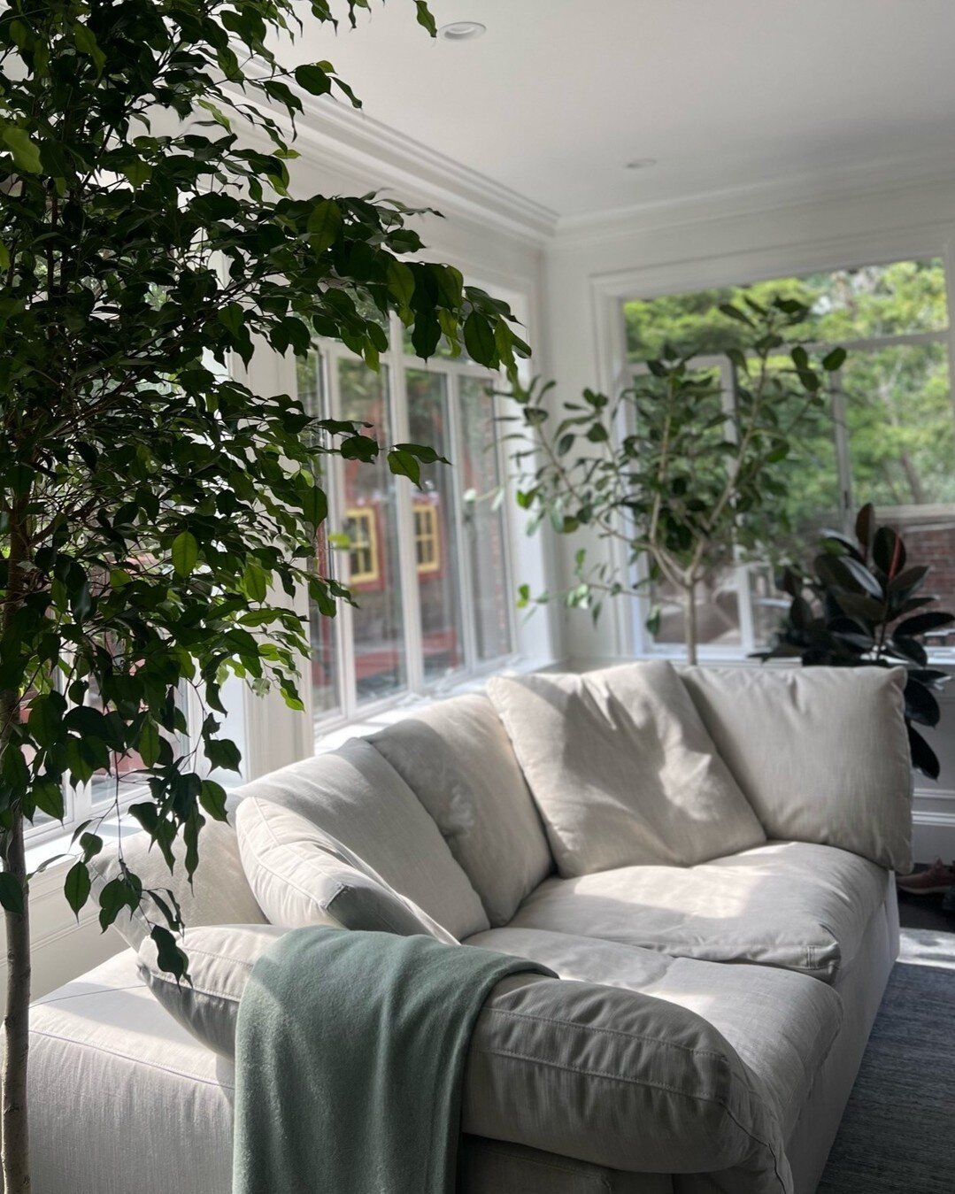 Can you even imagine a cozier spot to read or sip your morning coffee?⁠
These textured Ficus trees create such a special atmosphere in this sun room. ⁠This wonderful client receives a weekly maintenance visit from our amazing Plant Care Specialist to