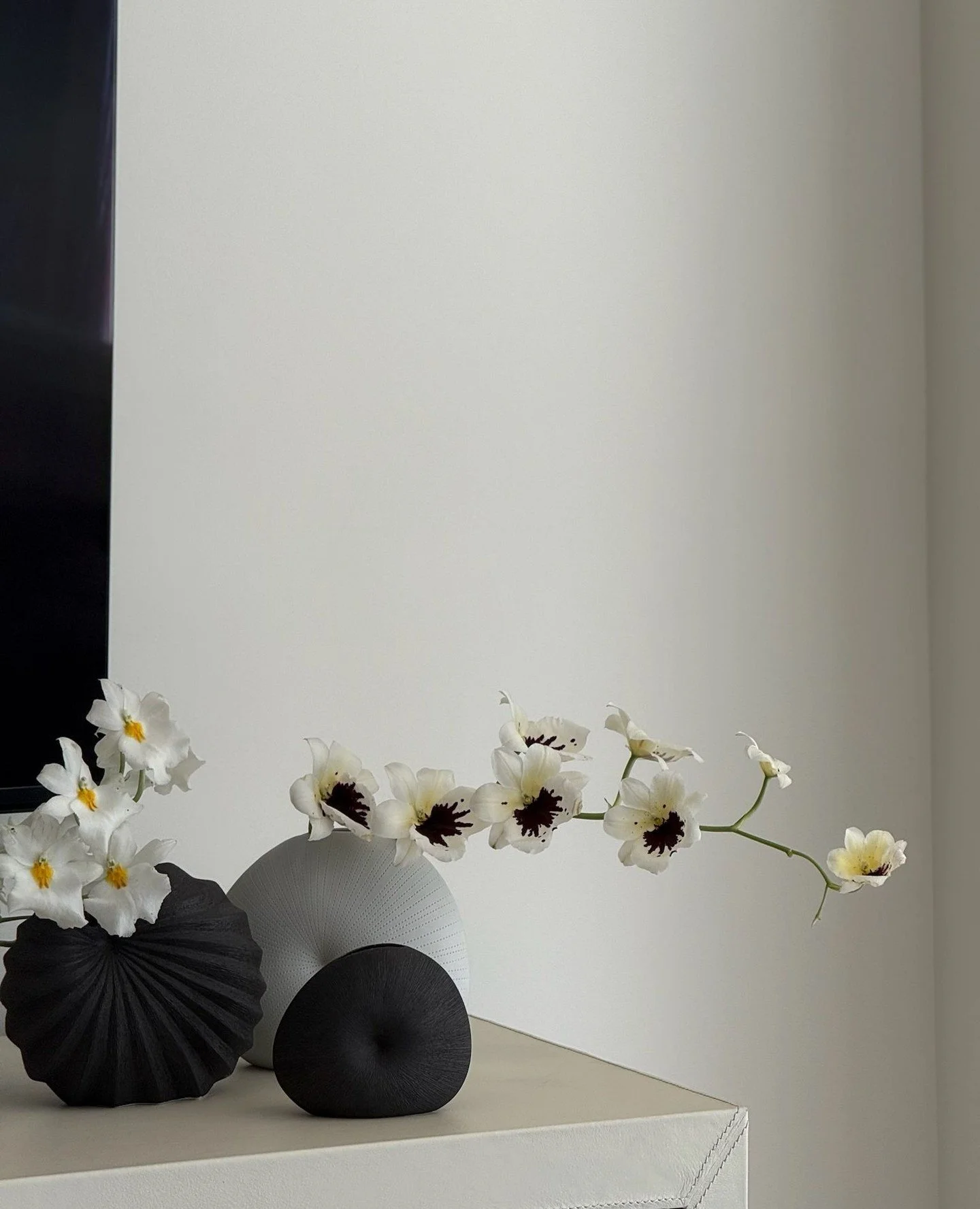 a black and white moment ⁠
⁠
#okfdesigns #orlykhonfloral #botanical #orchidlovers #orchidworld #orchidflower #myinteriordetails #interiordetails #interiordefine #interior4you #interiorinspo #interiorinspirations #plantstyling #plantstyle #plantstylis