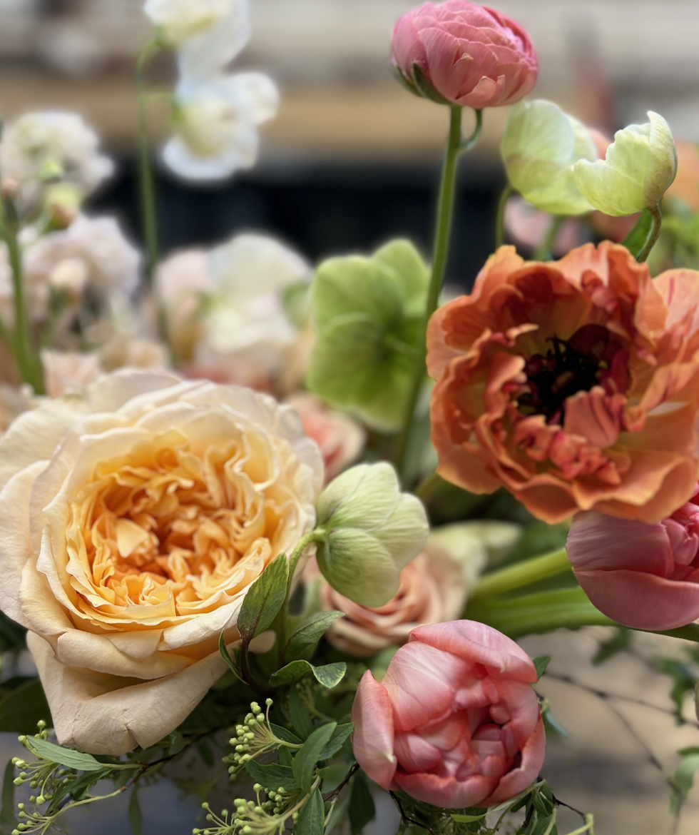 Screenshot 2026-03-23 at 2.45.45 PM.png