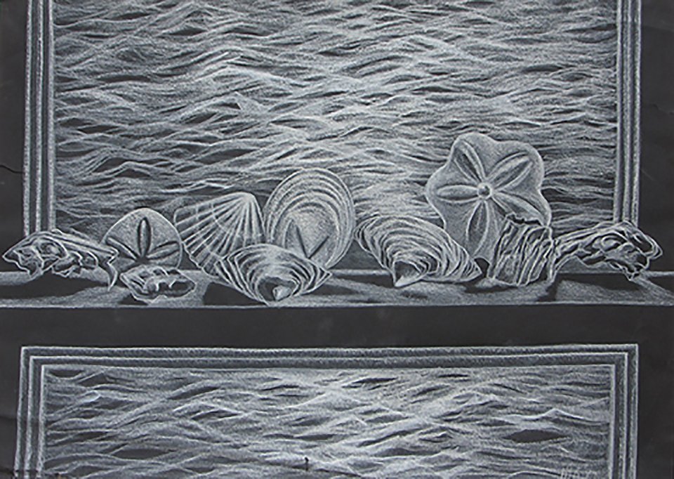  Shells on a Window Sill                                                  color pencil 