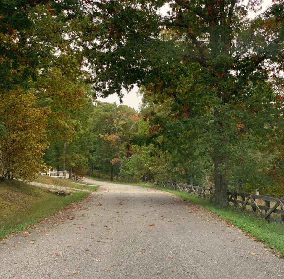 Real estate — McCloud Mountain