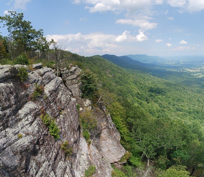 Real estate — McCloud Mountain