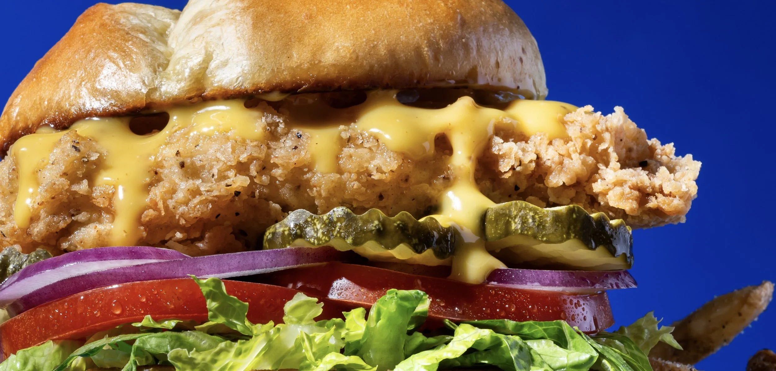 2024_02_22_dandb_crispychickensandwich_017_5*.jpeg