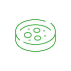 Artboard 1green_nocircle.png