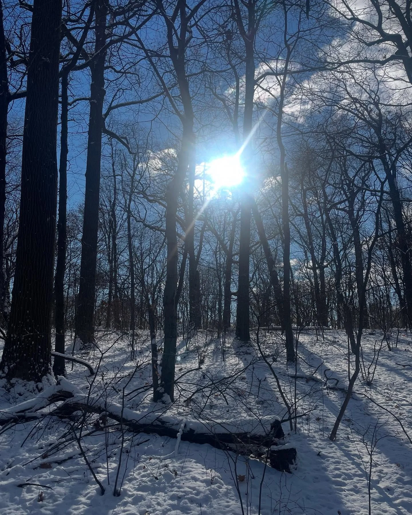 Happy Solstice ✨ from the Big 🍎

#scriboergosum #iwritethereforeiam #artfulambitions #illtakeyouthere #writingtosee #iwritethesights #artwriter #artwriting #visualwriter #visualwriting #writersofinstagram #attinghamalumni #wintersolstice #winterwond