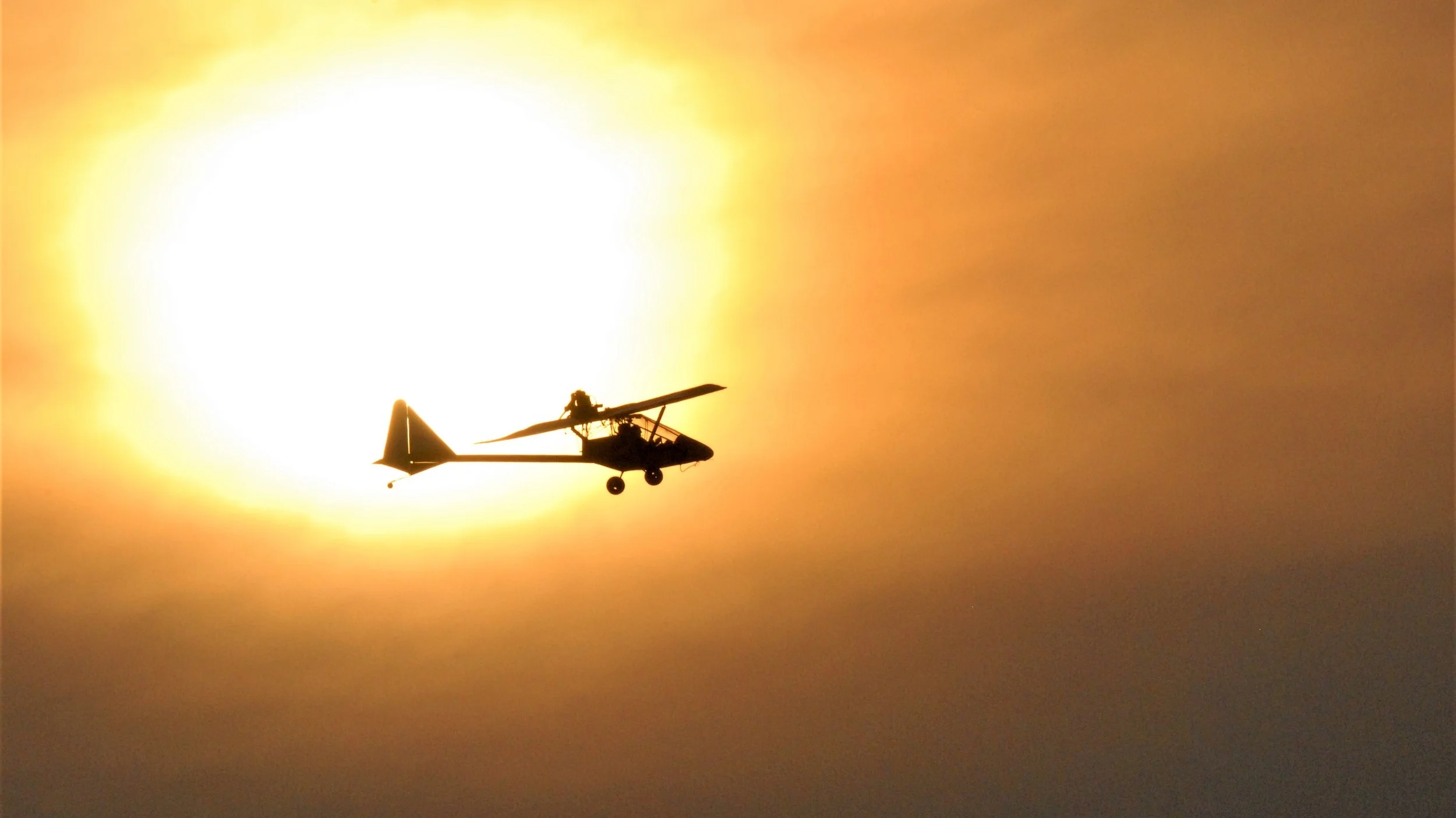 DSC_6339.JPG
