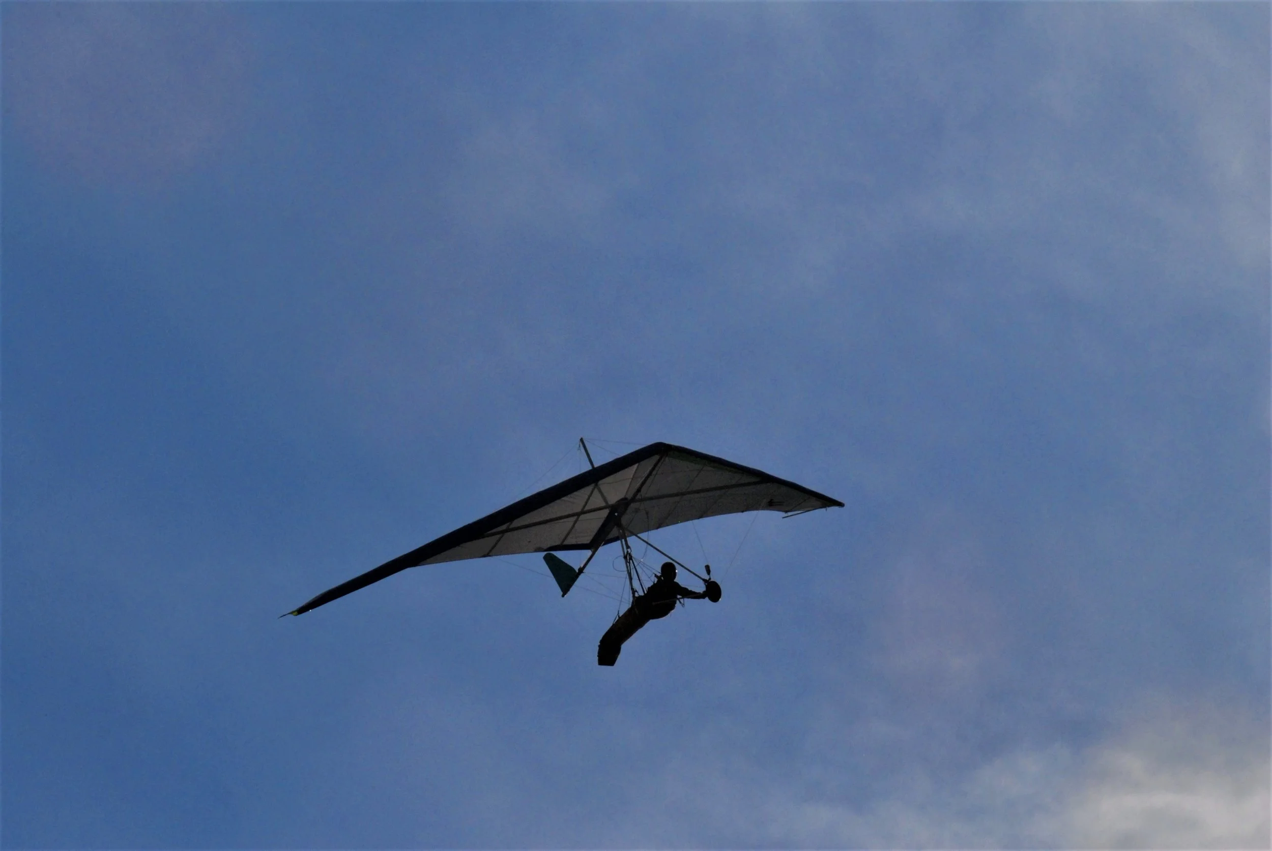 DSC_9520.JPG