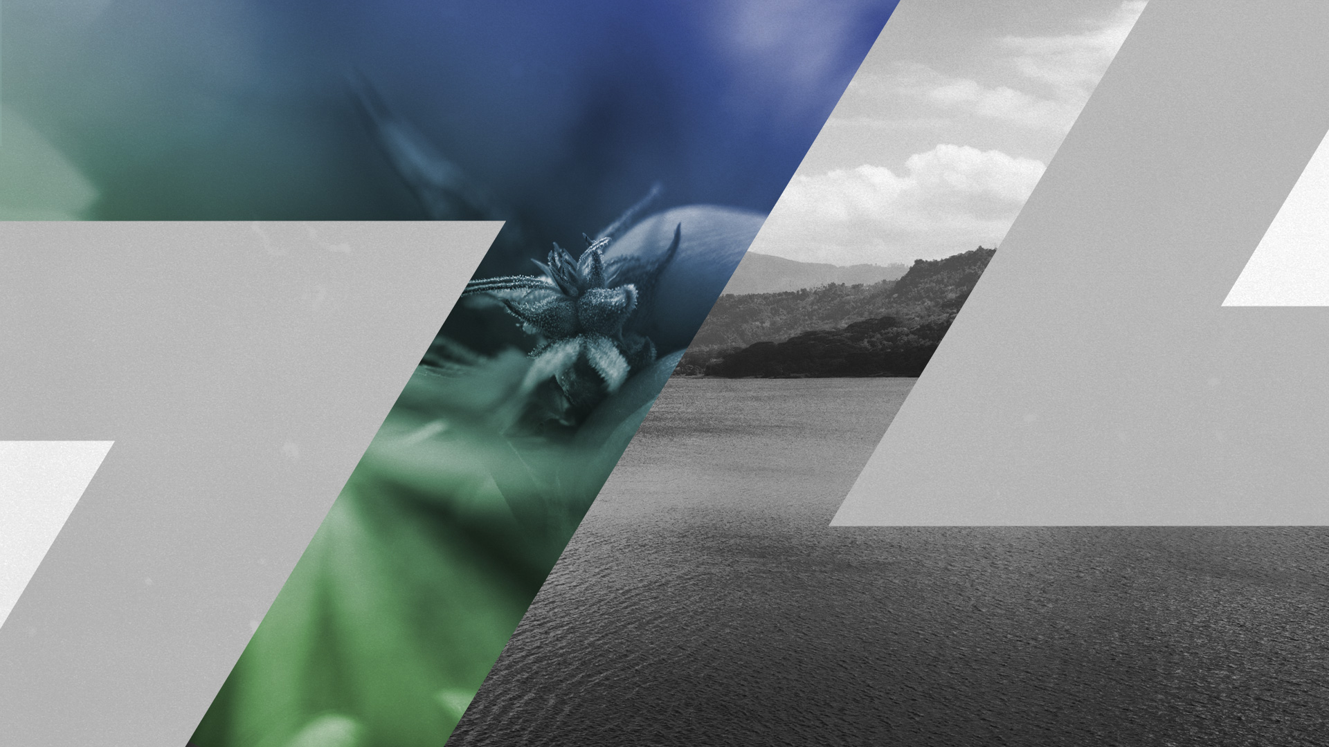 SL_banner_v1.jpg