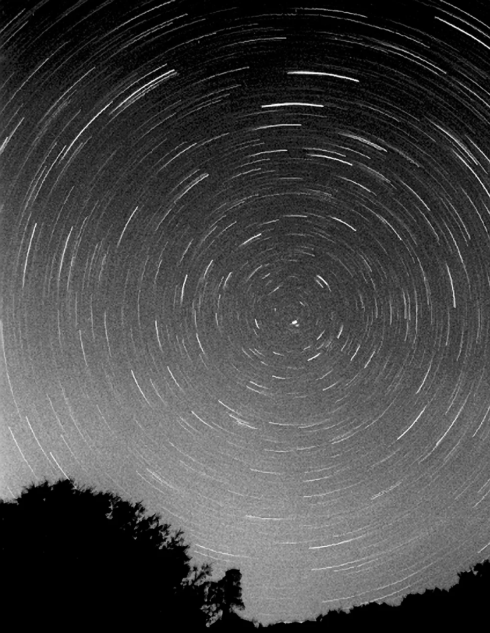 pole star vert crop sh .jpg