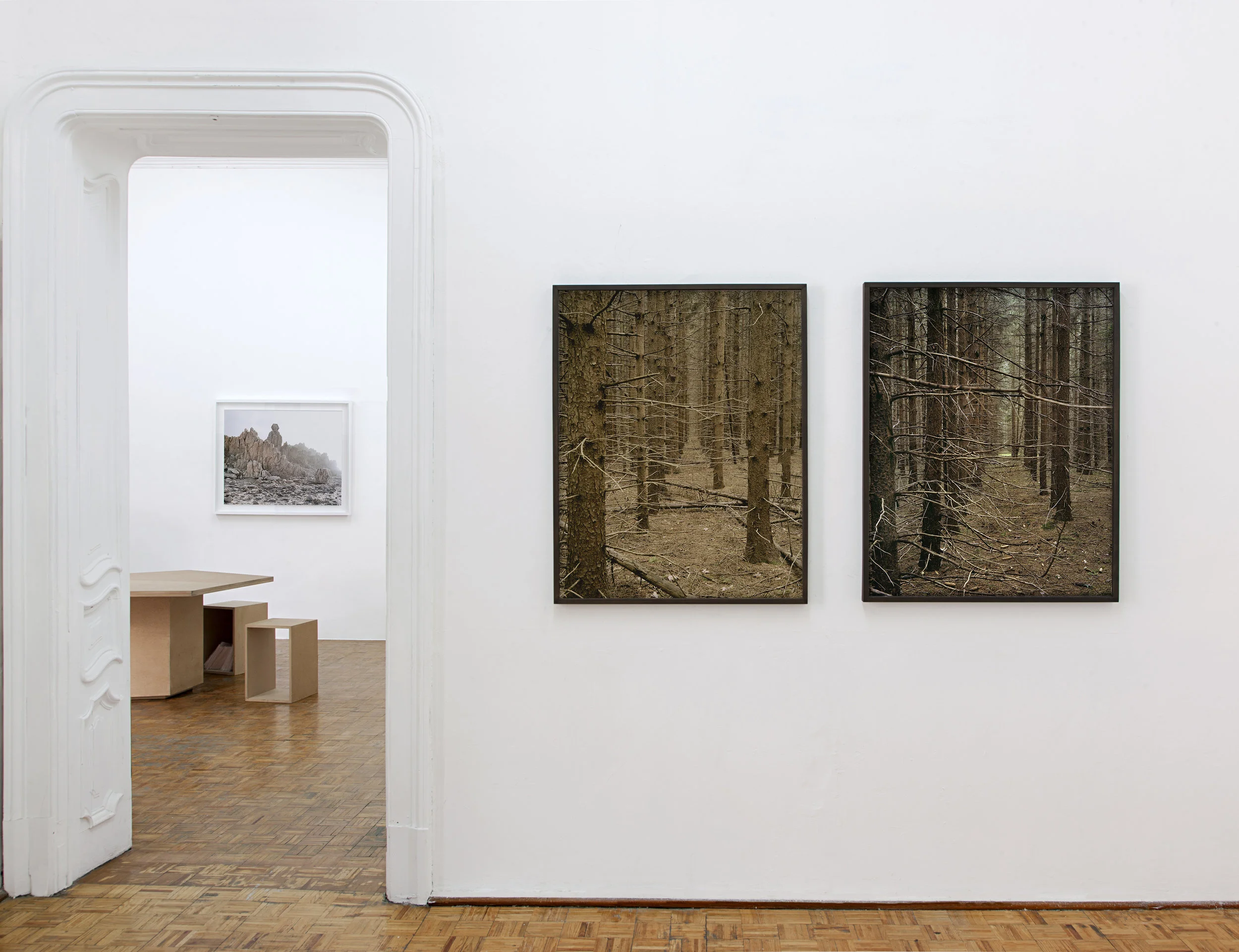 TERRARIUM: ANDREA GALVANI AND TIM HYDE Marso Galería, México City 9 April - 26 May 2013 Terrarium is a conversation in five rooms taking place simultaneously. The historical architecture of the gallery is used by the artists to enclose a dialog between separate geographic explorations of time and memory. The exhibition itself is alive and in flux, featuring a collaboratively-built modular sculpture that is continuously reconfigured to enable conversations and actions with artists and curators in Mexico City. The show includes more than 25 works of photography, collage, drawing, video, and sculpture. New works are combined with projects that have been exhibited internationally at venues that include the Philadelphia Museum of Art, the Moscow Biennale, the Ar/ge Kunst Galerie Museum in Bolzano Italy, the Poznan Biennale in Poland, and the Whitney Museum of Art in New York. Terrarium marks the first exhibition by both artists in Mexico. In addition to the exhibition at Marso Gallery, the artists will present a special installation at Zona Maco 2013, derived from their ongoing collaborative project, The Skull Sessions. The Skull Sessions are conversations rendered as form. Each Session is a dialogue recorded and reshaped into experimental publications, objects, images, and installations.